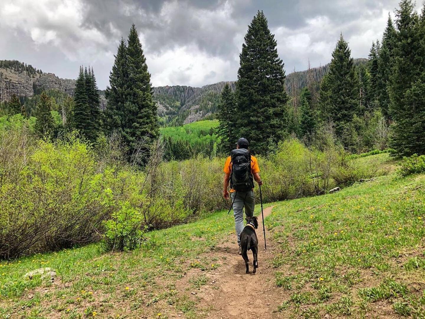 “Sometimes life’s just a walk in the park.” When your park is this beautiful...you gotta walk it. We Lvod the inspiration from our ambassador @mcmahonwich who take the time to do what they love.
.
.
.
.
.

#optoutside #alltrails #gohike #ItsInMyNature #teamoutdoors #WeAreConservation #rei1440project #outdoors #nicehike #adventure #getoutside #fitness #outdoortones #travel #liveadventurously #liveoutsidethebox #colorado #adventuretime #hiking #health #takemoreadventures #peoplewhoadventure #wildandco #liveoutside #mypubliclands #livenobox #modernoutdoors #modernoutdoorsman #weekendworkout #hikingwithdogs