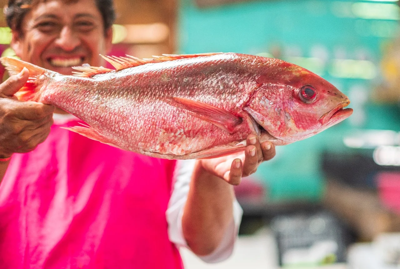 Riviera Nayarit9.jpeg