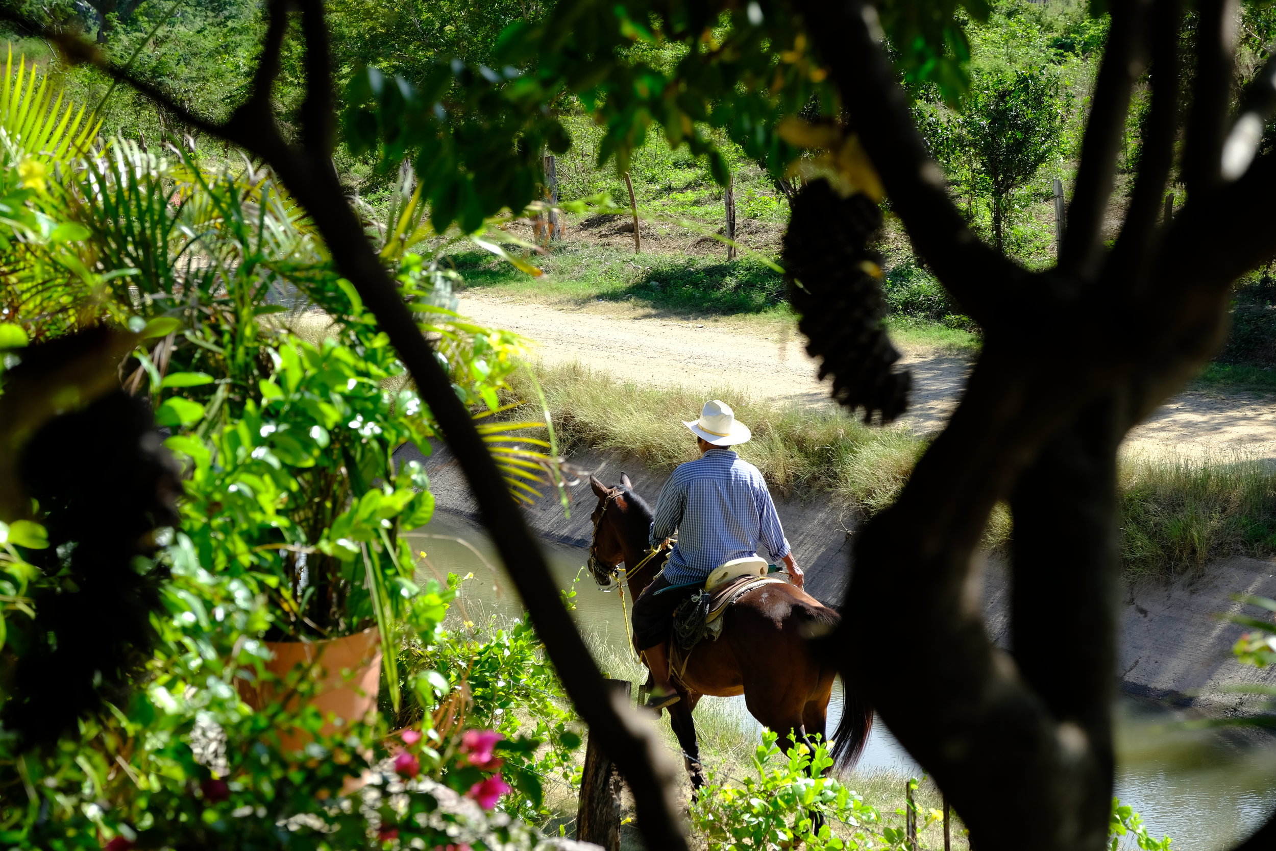 Flavien horse photo.JPG