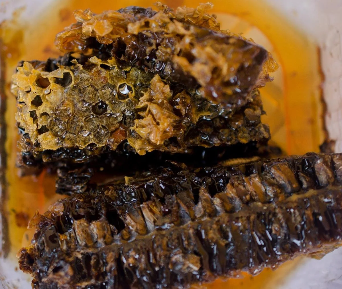 mya beekeeping company 2.jpg