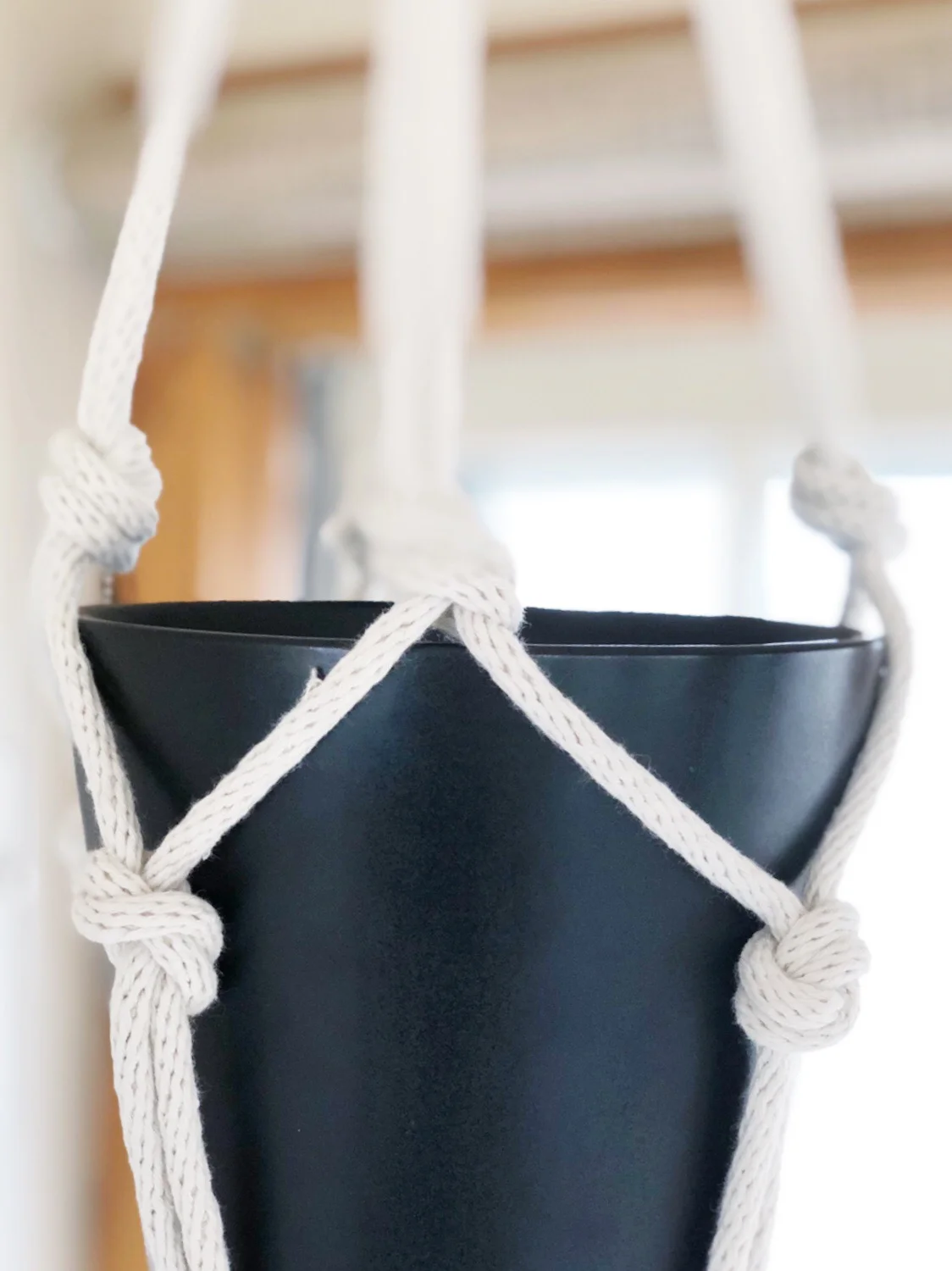 black pot in mid century modern plant hanger.jpg