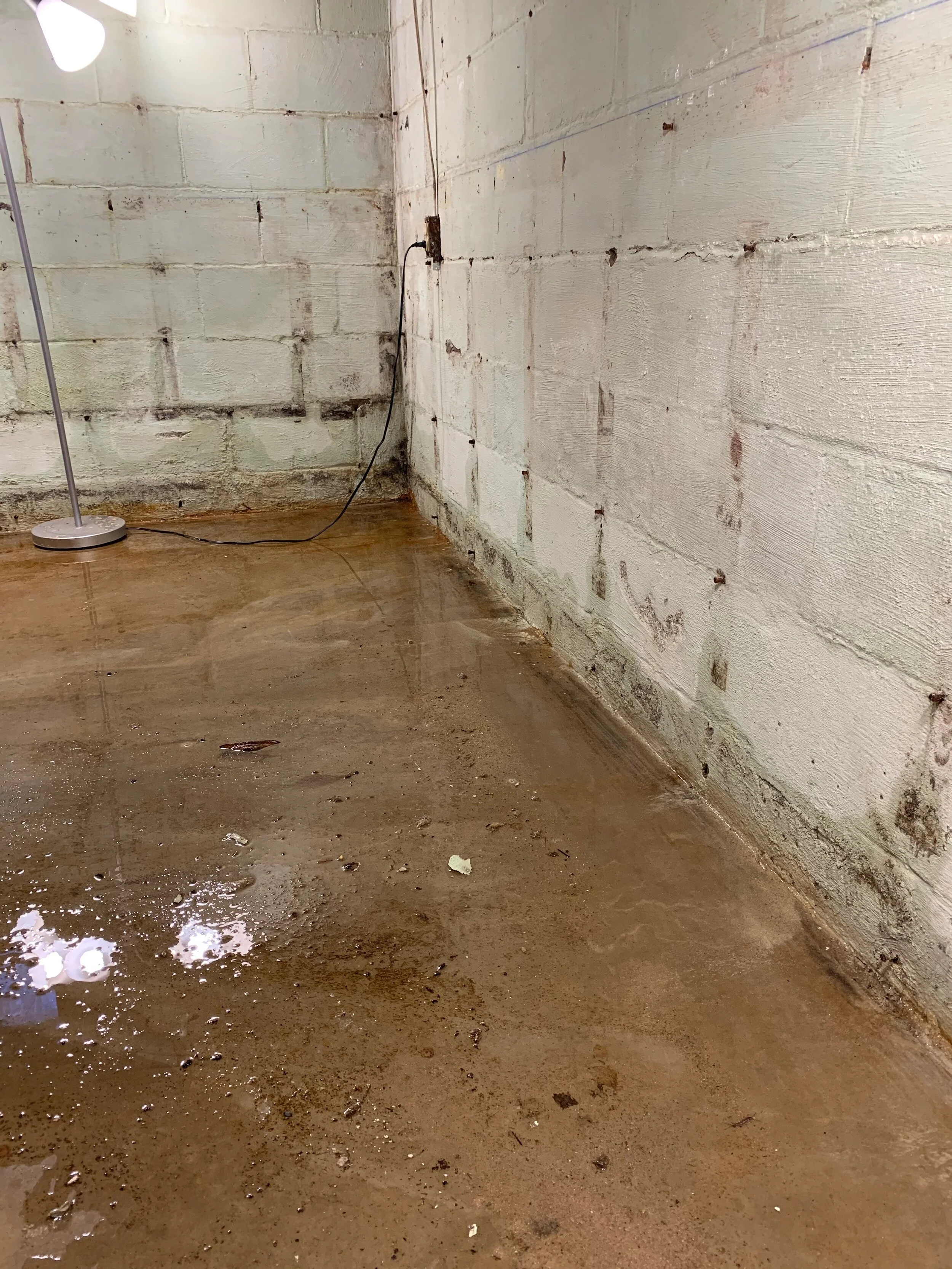 3 Steps To a Clean Up Plan After Your Basement Floods 
