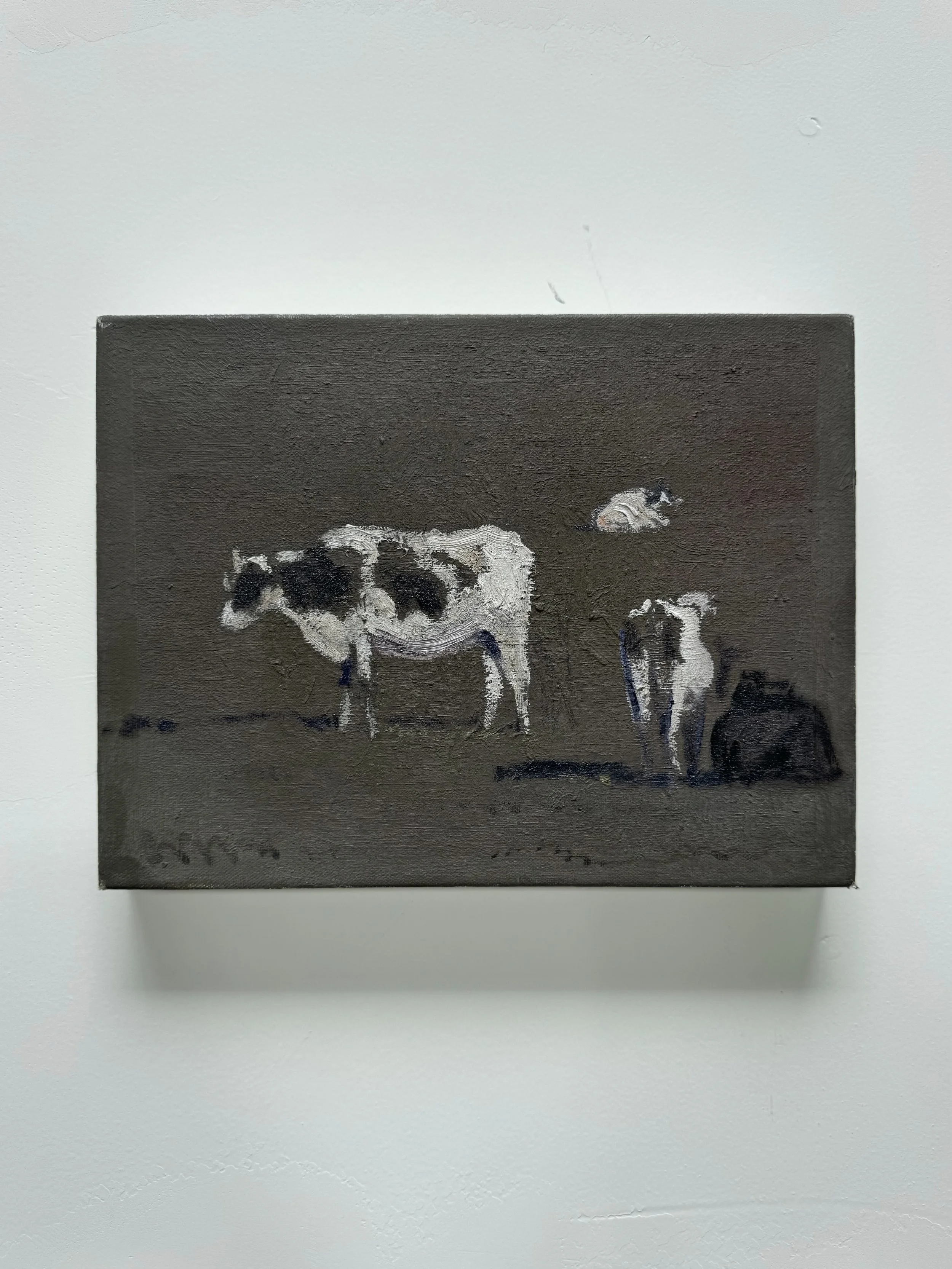 A Study of Cows