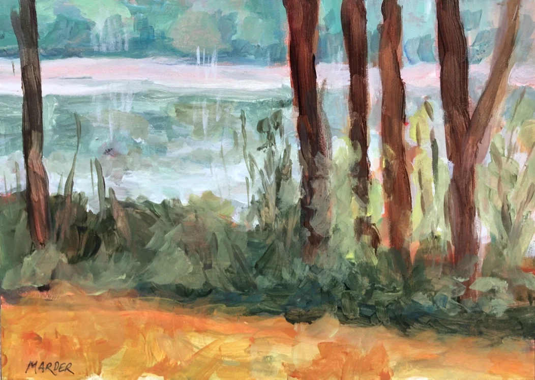 Through Trees.jpg