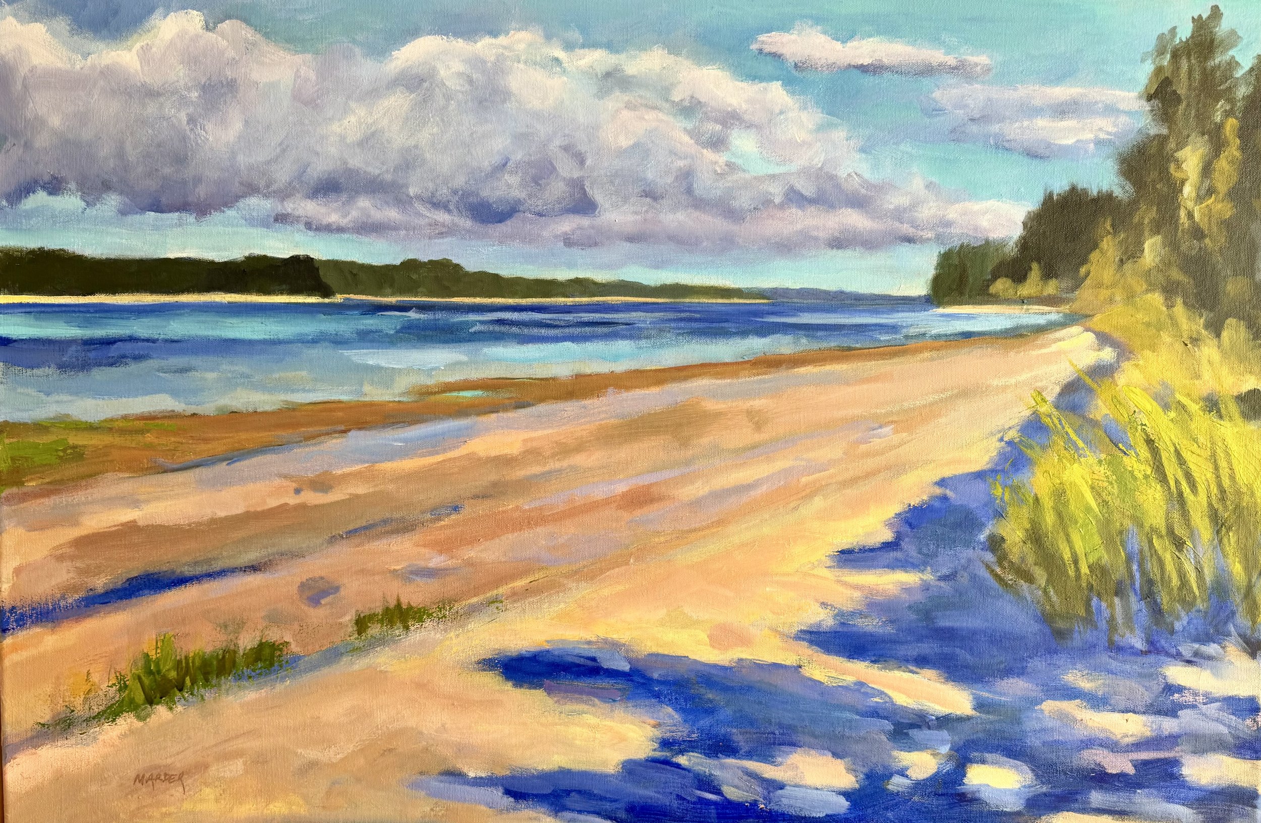 Sunlit Sand