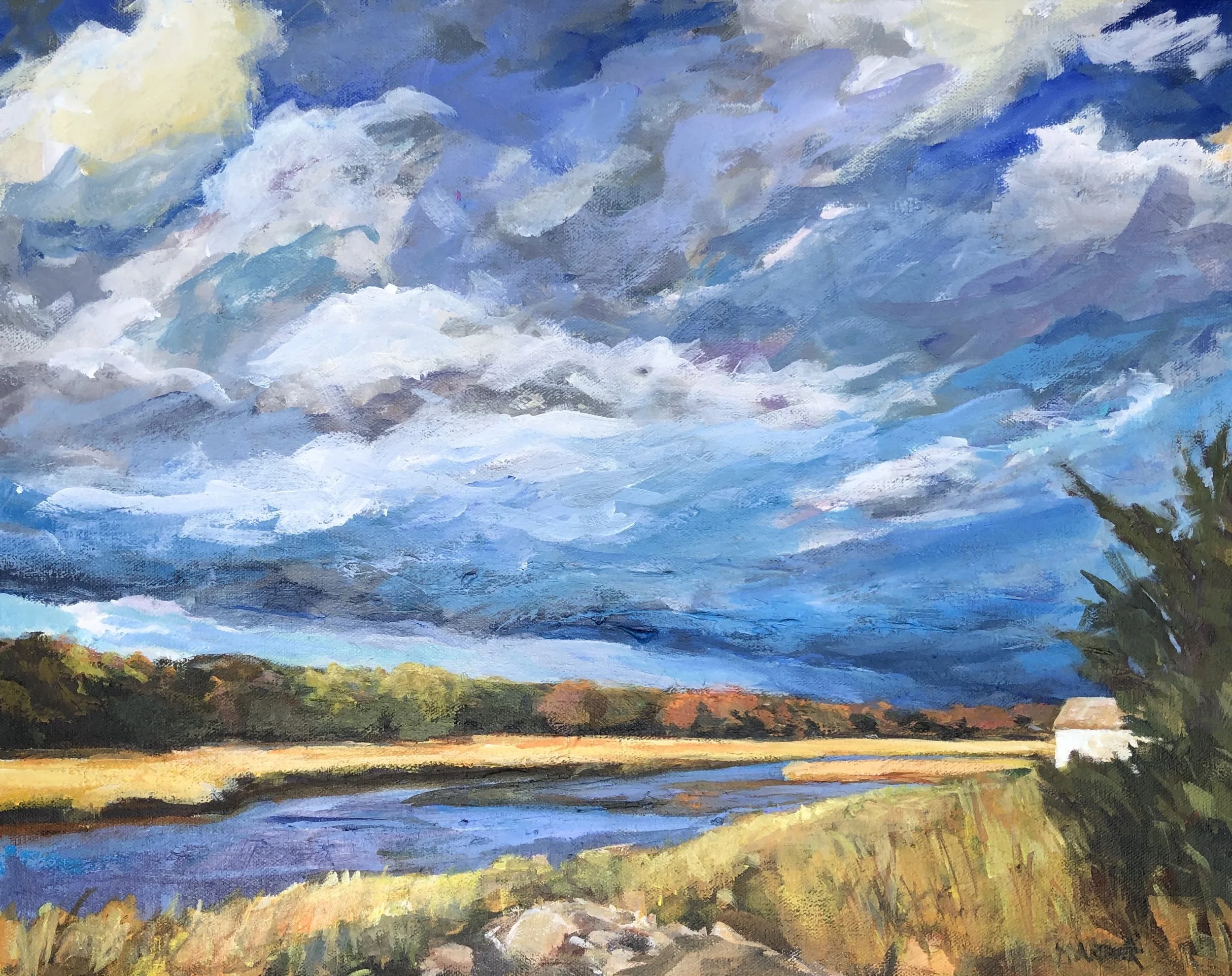 Marsh Clouds