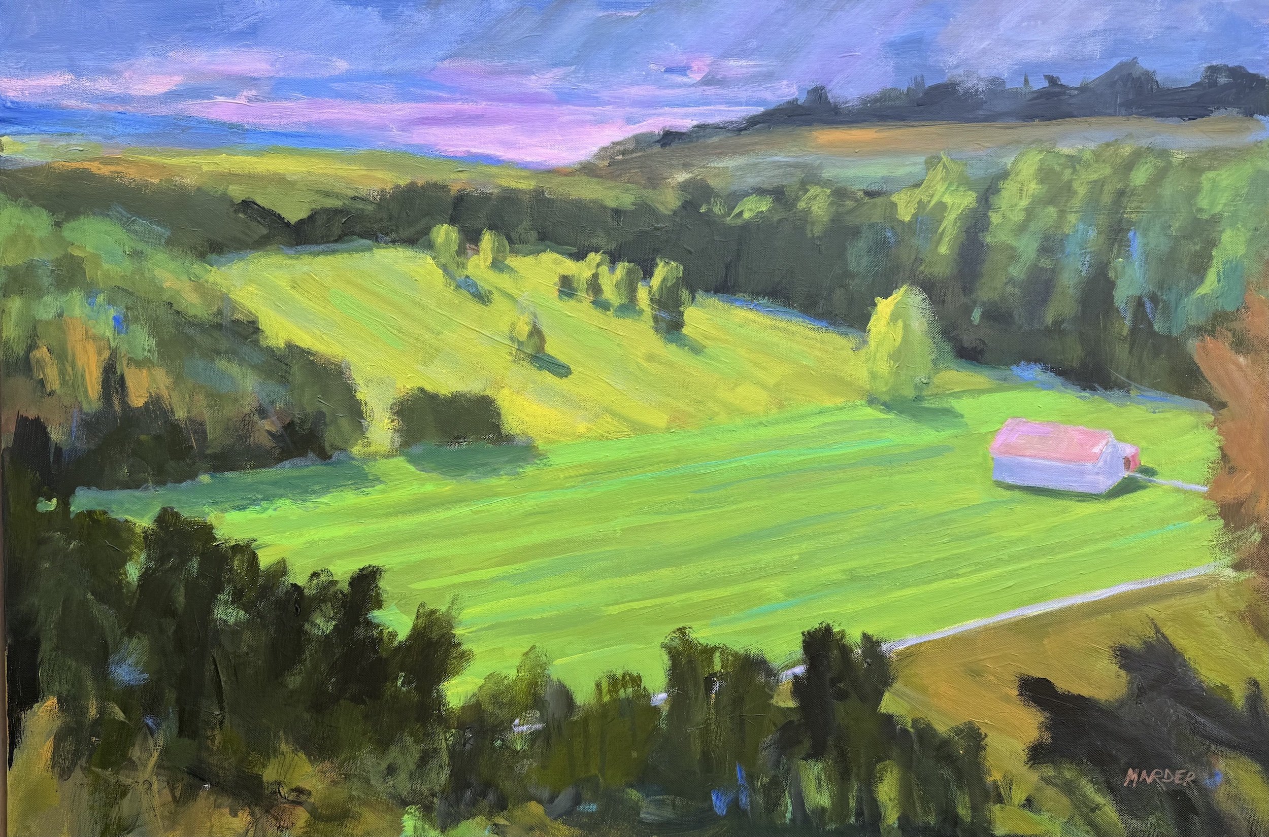 Quiet Fields