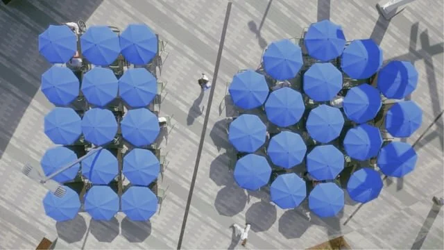 GOOGLE I/O IDENTS 2021 - SING-SING