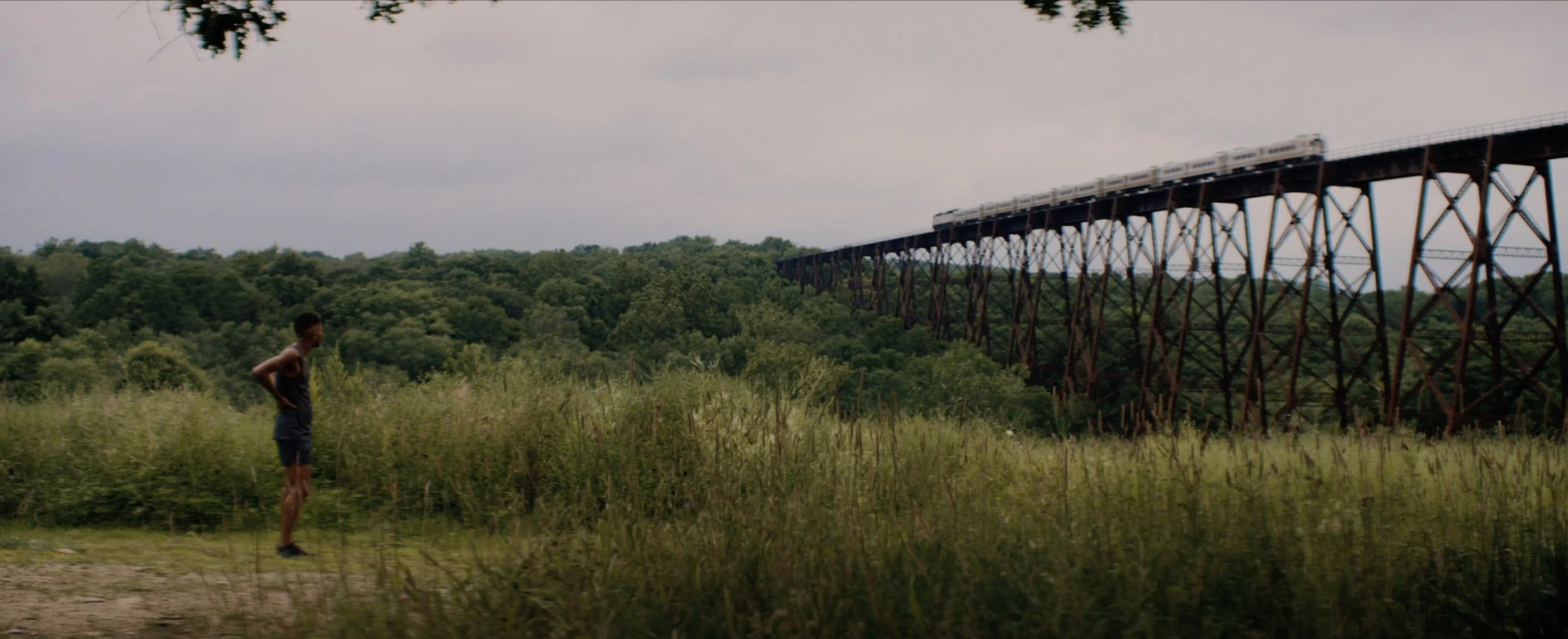 Screen Shot 2018-11-19 at 2.12.19 PM.jpg