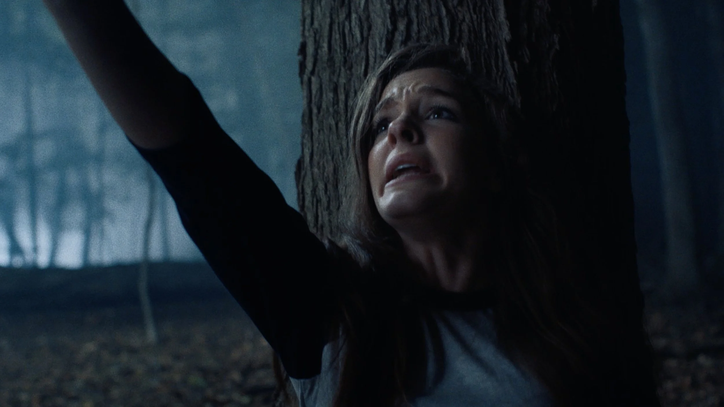 Screen Shot 2018-11-19 at 8.45.38 PM.jpg