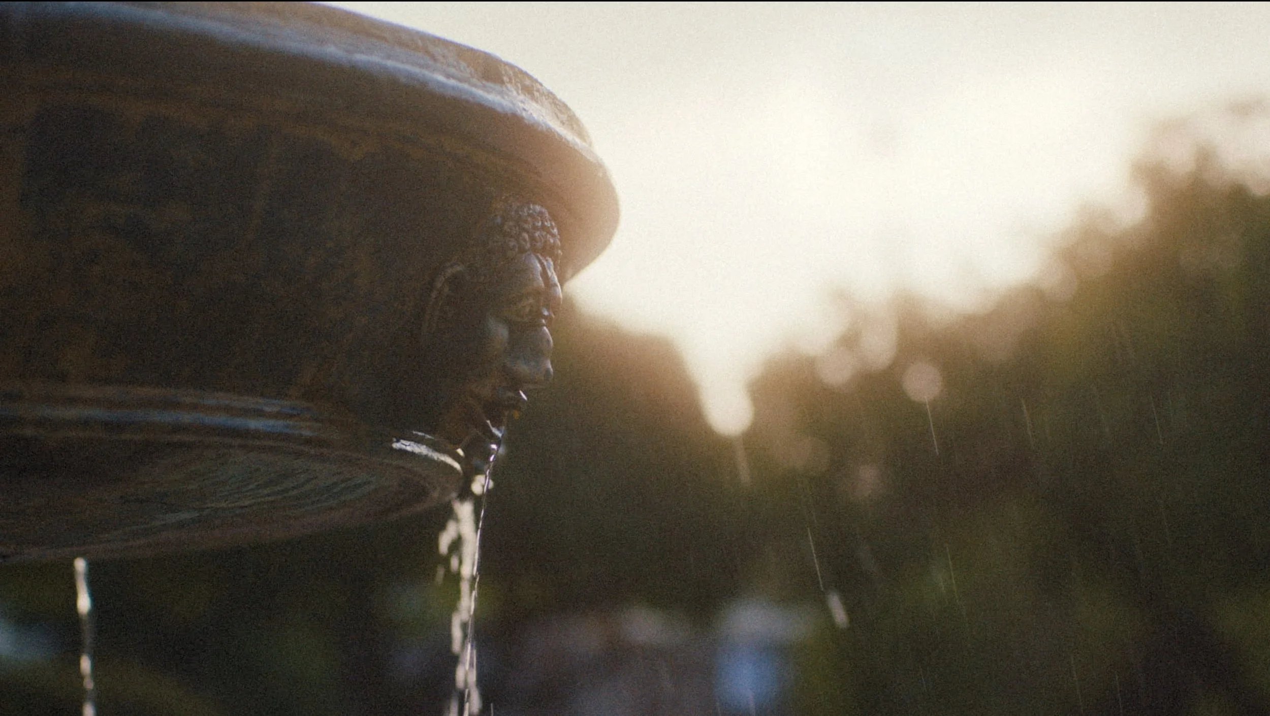 Screen Shot 2019-03-27 at 7.59.36 PM.jpg