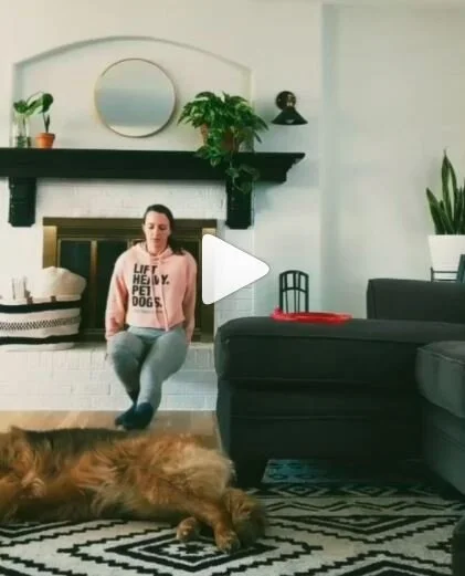 15 Minute Bodyweight AMRAP