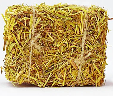 3 Little Haram Pigs (part 1)