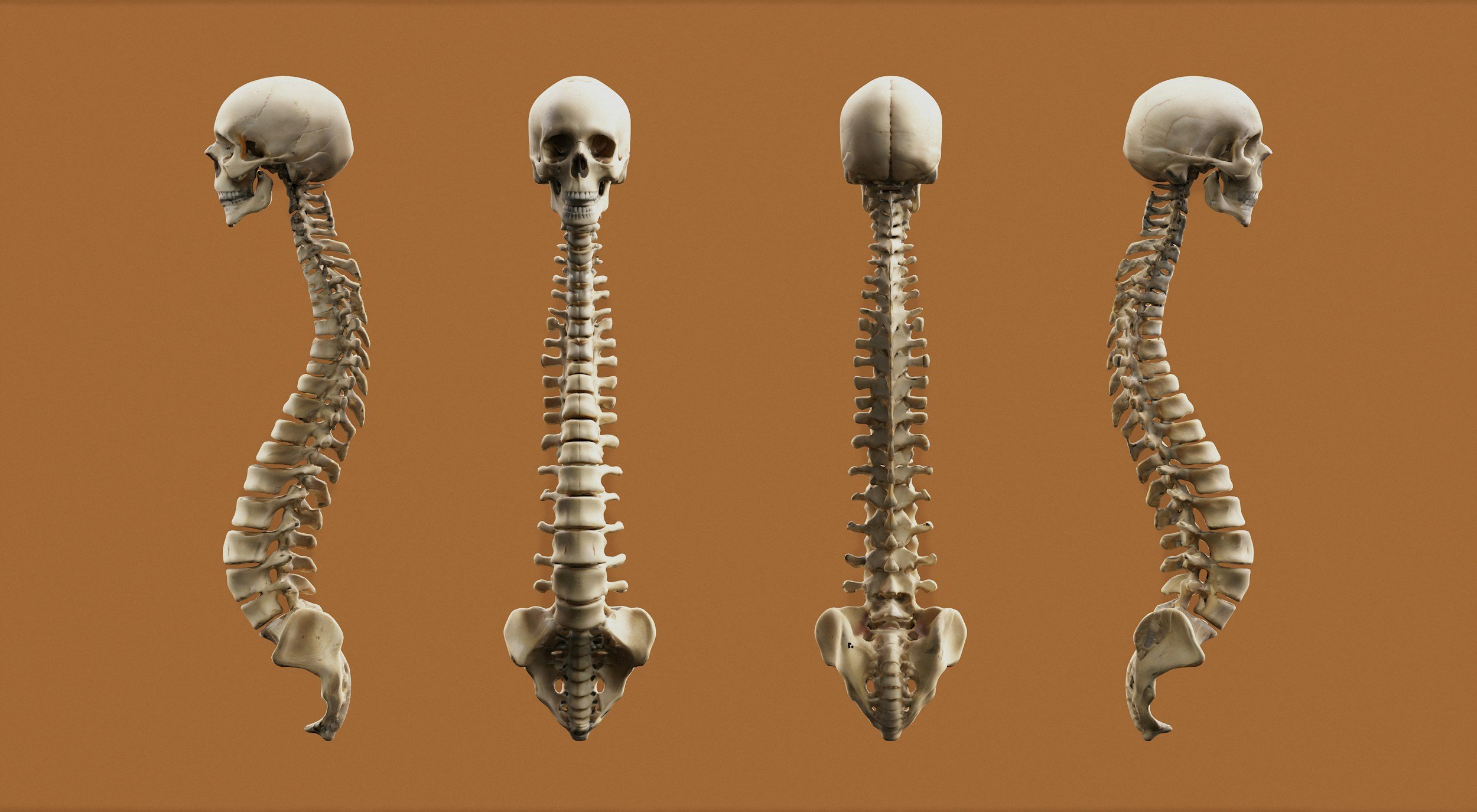 Non-Specific Low Back Pain: Understanding Your Back Pain