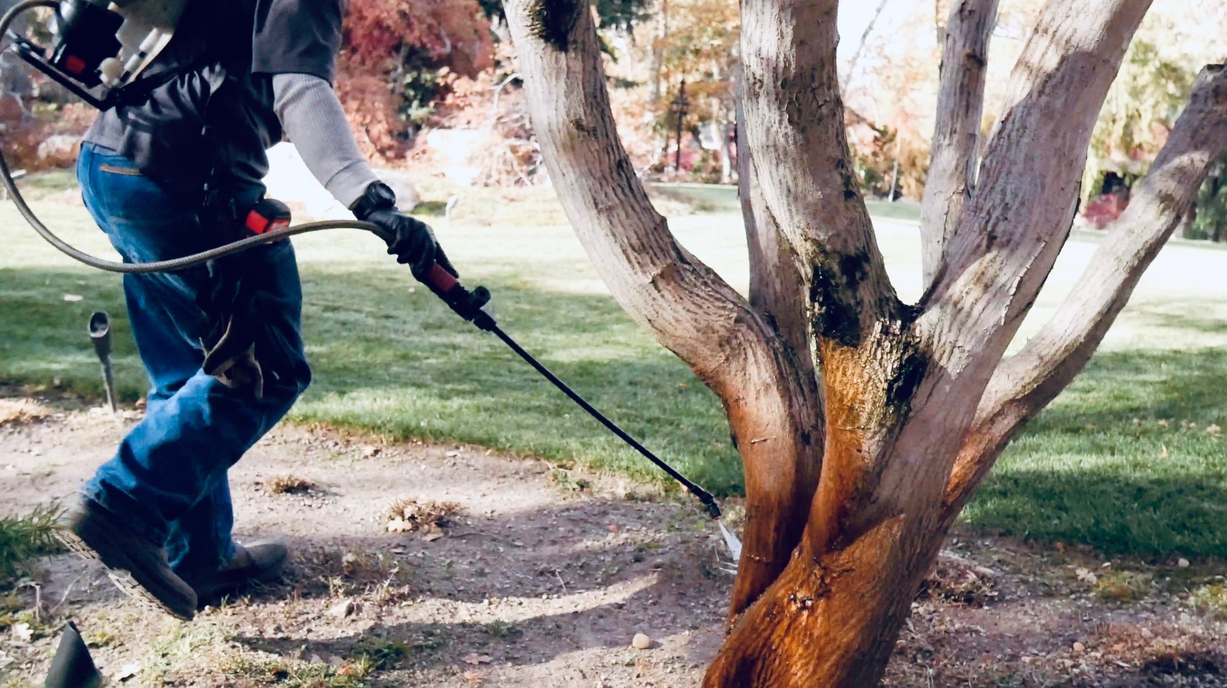 Screen Shot 2018-11-20 at 6.49.14 PM.jpeg