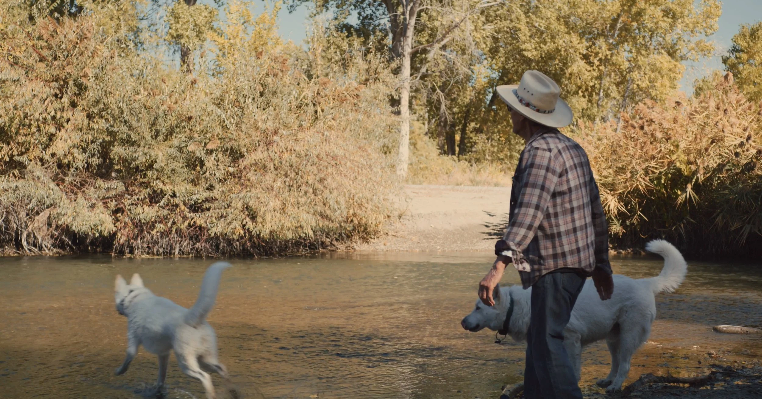 Screenshot 2024-10-23 at 7.29.56 PM.jpeg