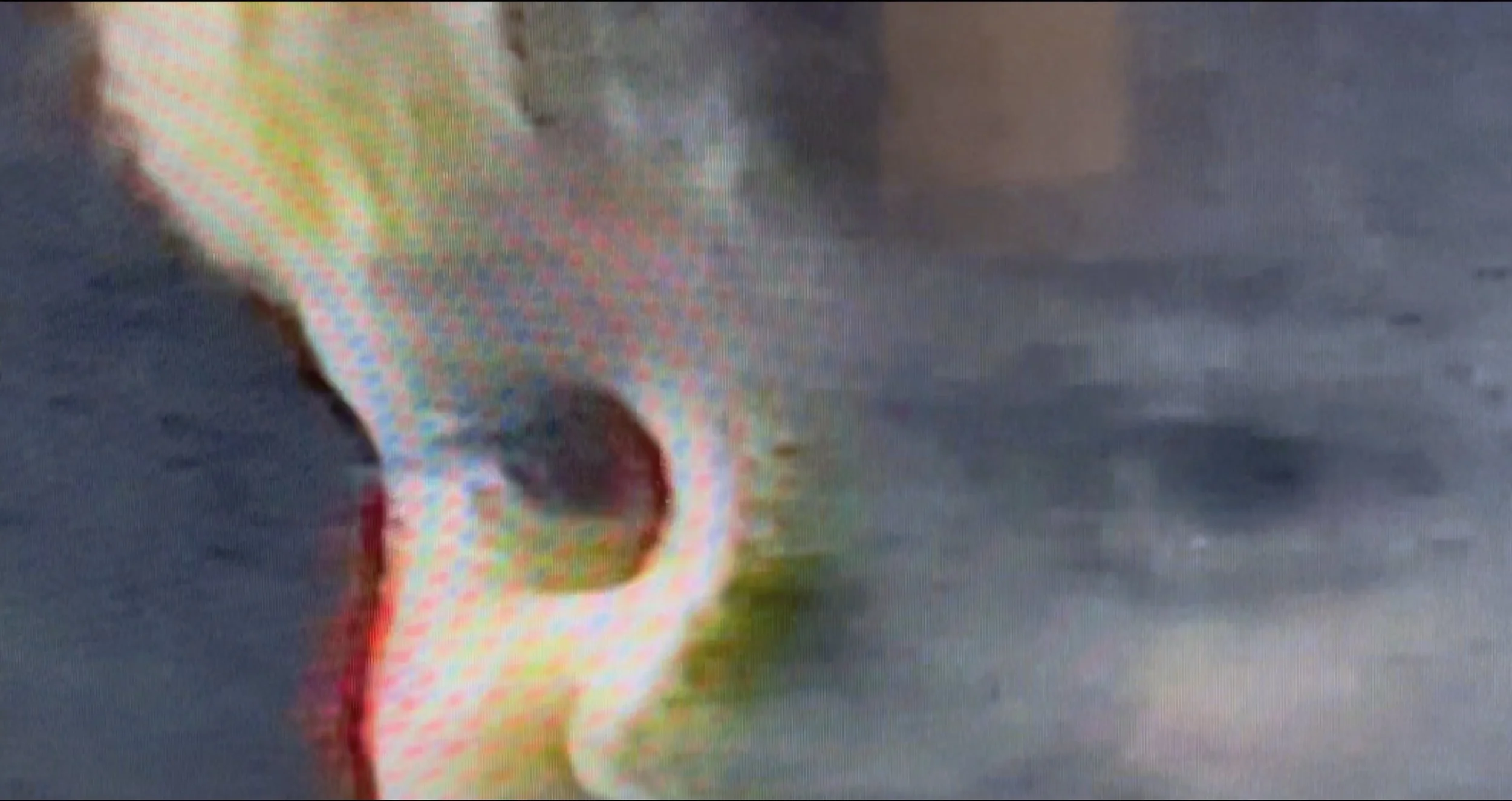 Screenshot 2024-02-20 at 10.21.31 AM.jpeg