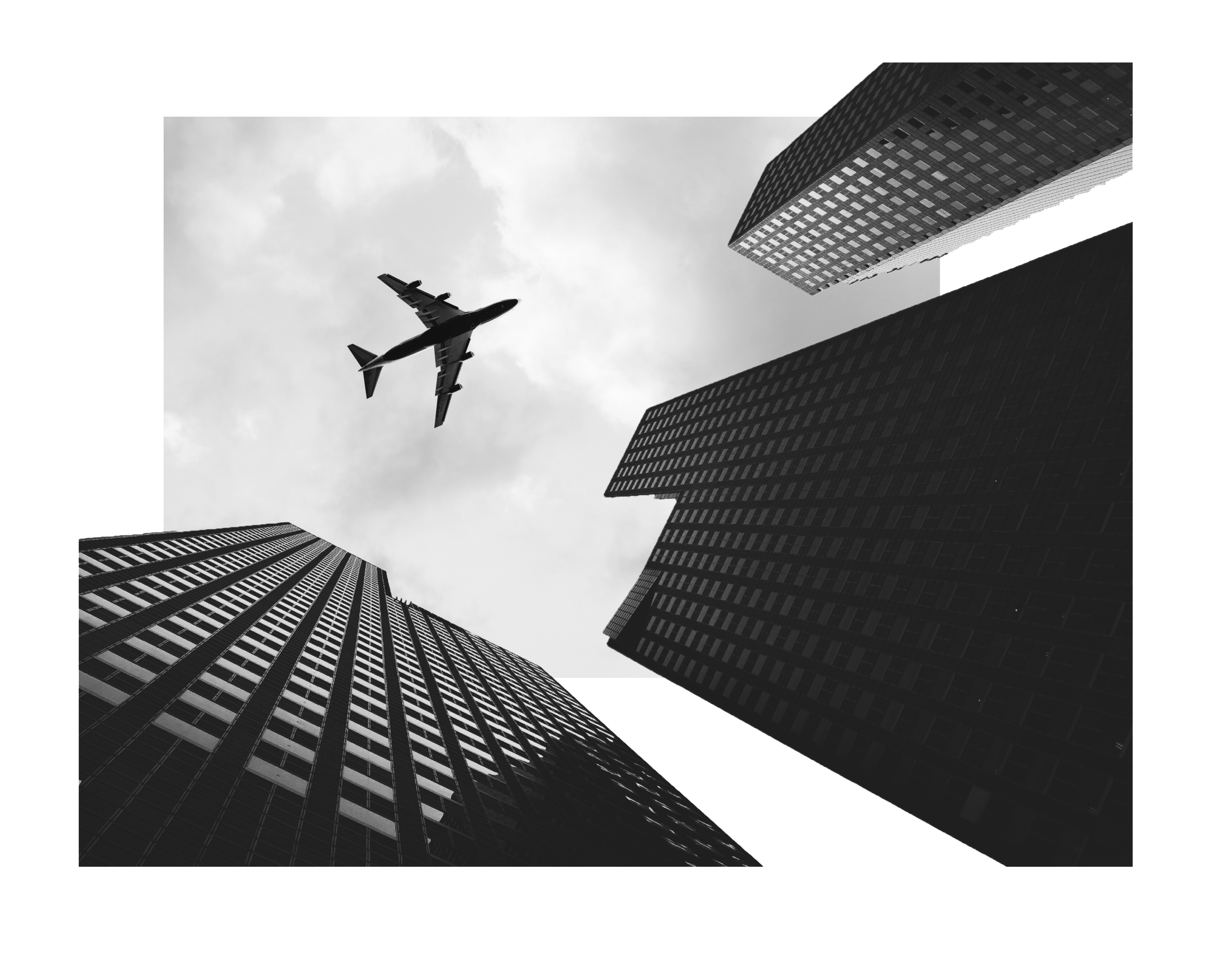 portfolio4.png