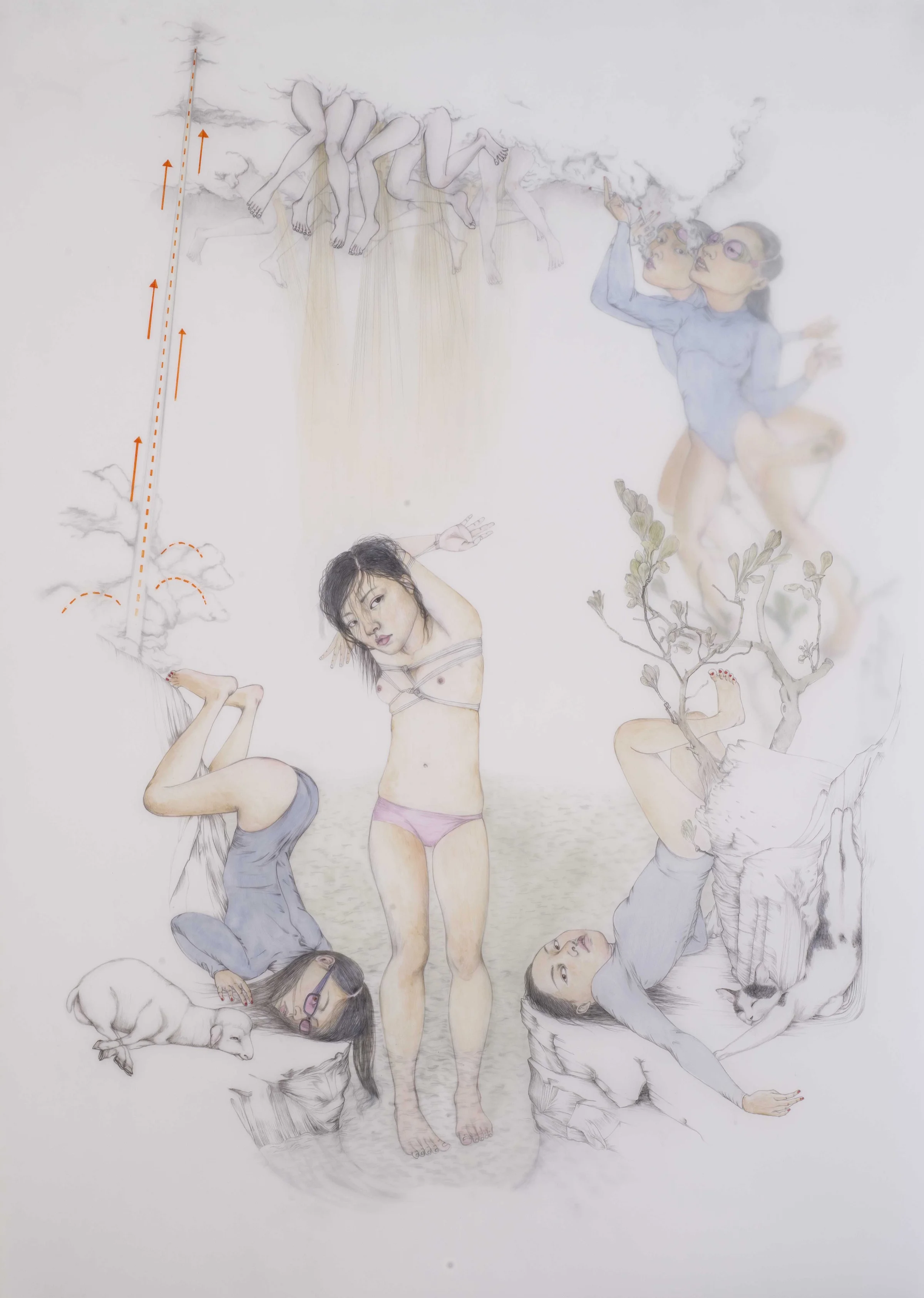 Cloud Seed , 2017 Graphite, acrylic paint on layered sheets of drafting film 40 x 32 inches Photo: Bill Orcutt
