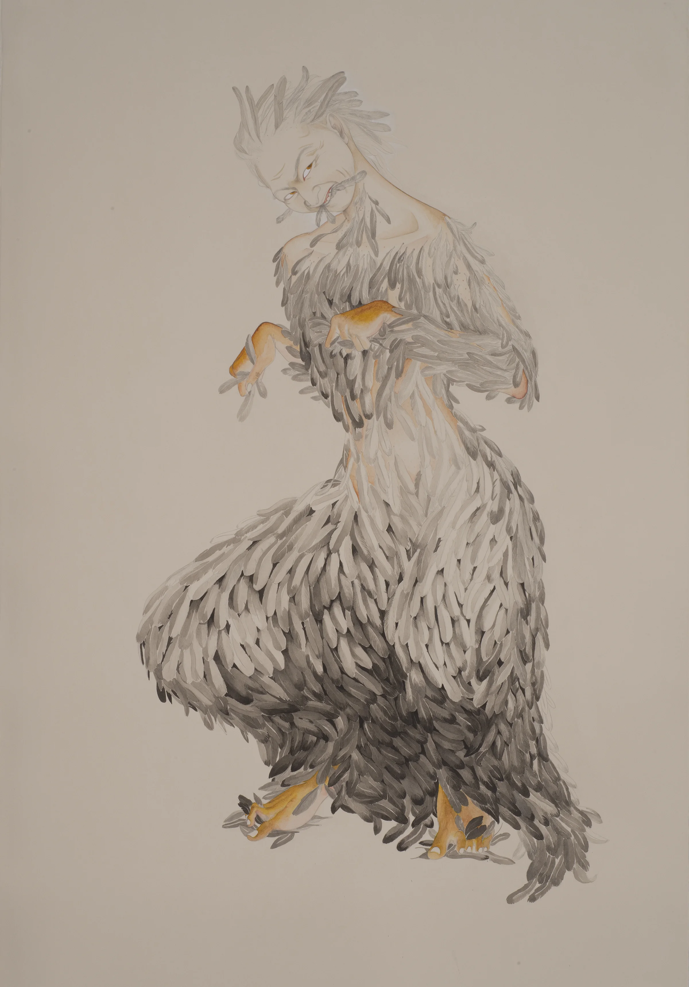 Preen , 2013 Graphite, watercolor, ink on ivory Fabriana Rosaspina 39 x 27.5 inches Photo: Bill Orcutt