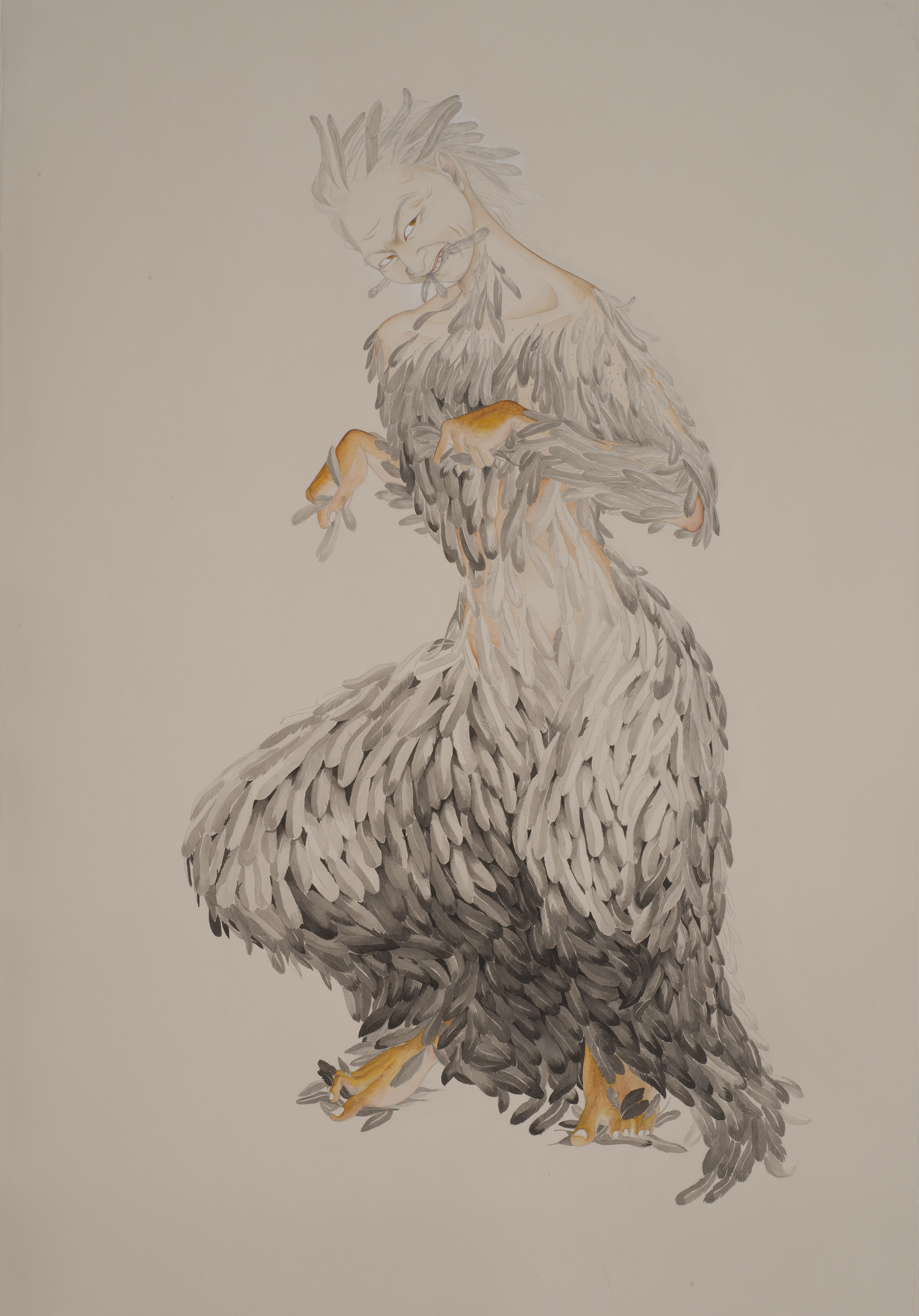   Preen , 2013 Graphite, watercolor, ink on ivory Fabriana Rosaspina 39 x 27.5 inches Photo: Bill Orcutt 