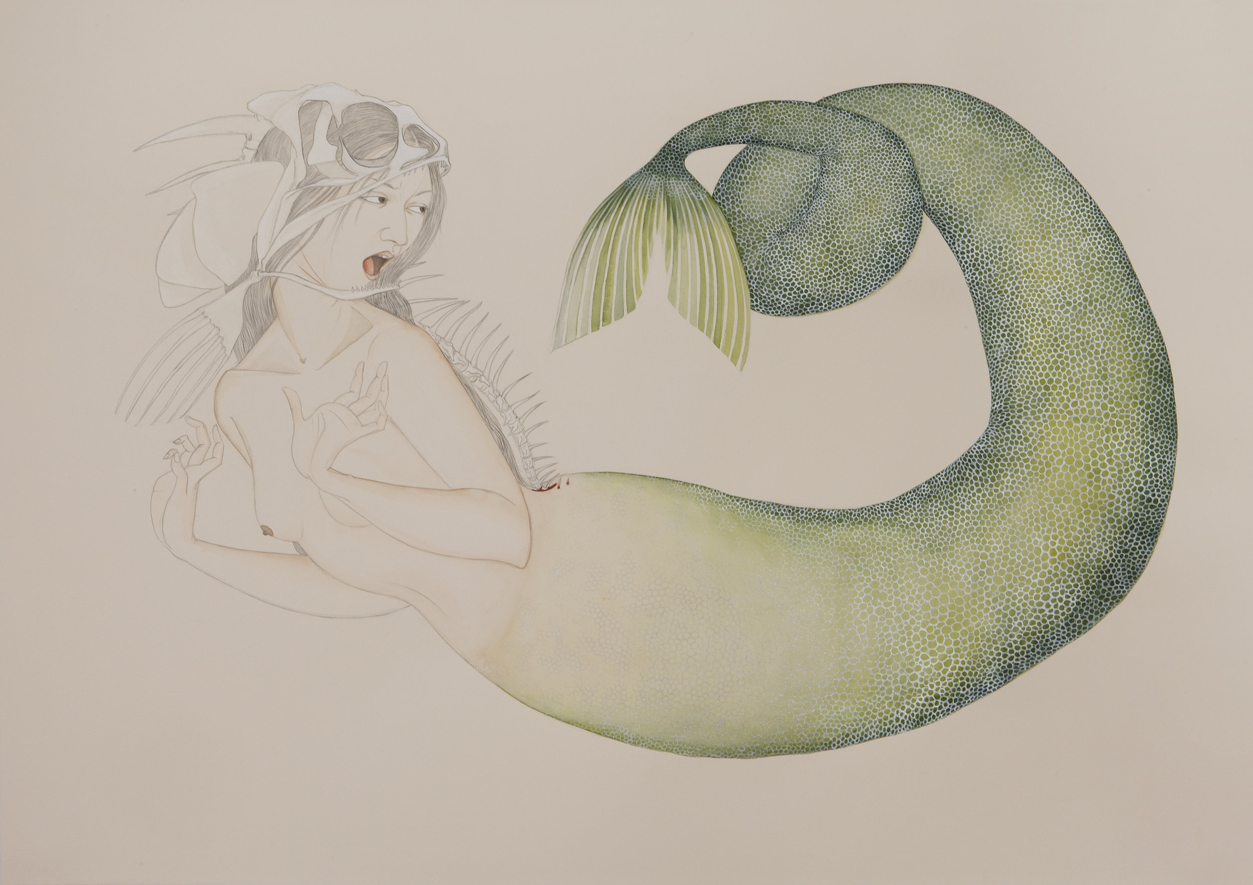   Alarmed Mermaid , 2009 Graphite, ink, watercolor on cream-colored paper 27.5 x 39 inches Private collection&nbsp;  