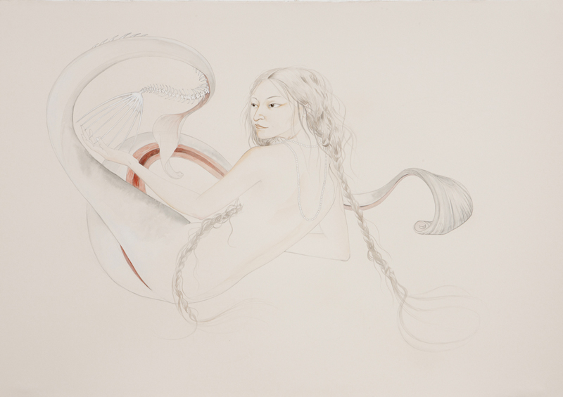   Slit , 2010 Graphite, watercolor on ivory paper 27.5 x 39 inches&nbsp; 