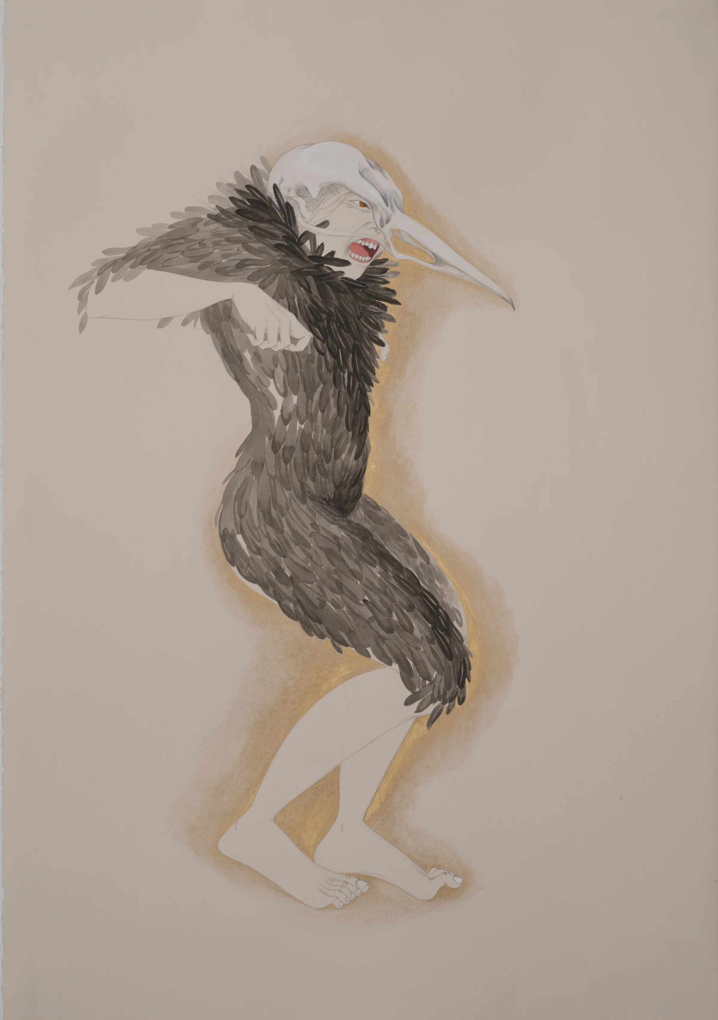 harpy.jpg
