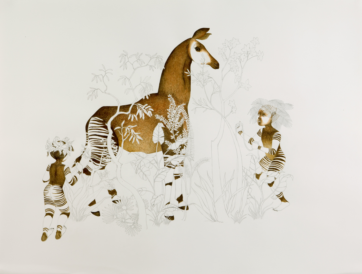   Cornering Okapi , 2008 Graphite, watercolor on paper 38 X 50 inches Private collection&nbsp; 