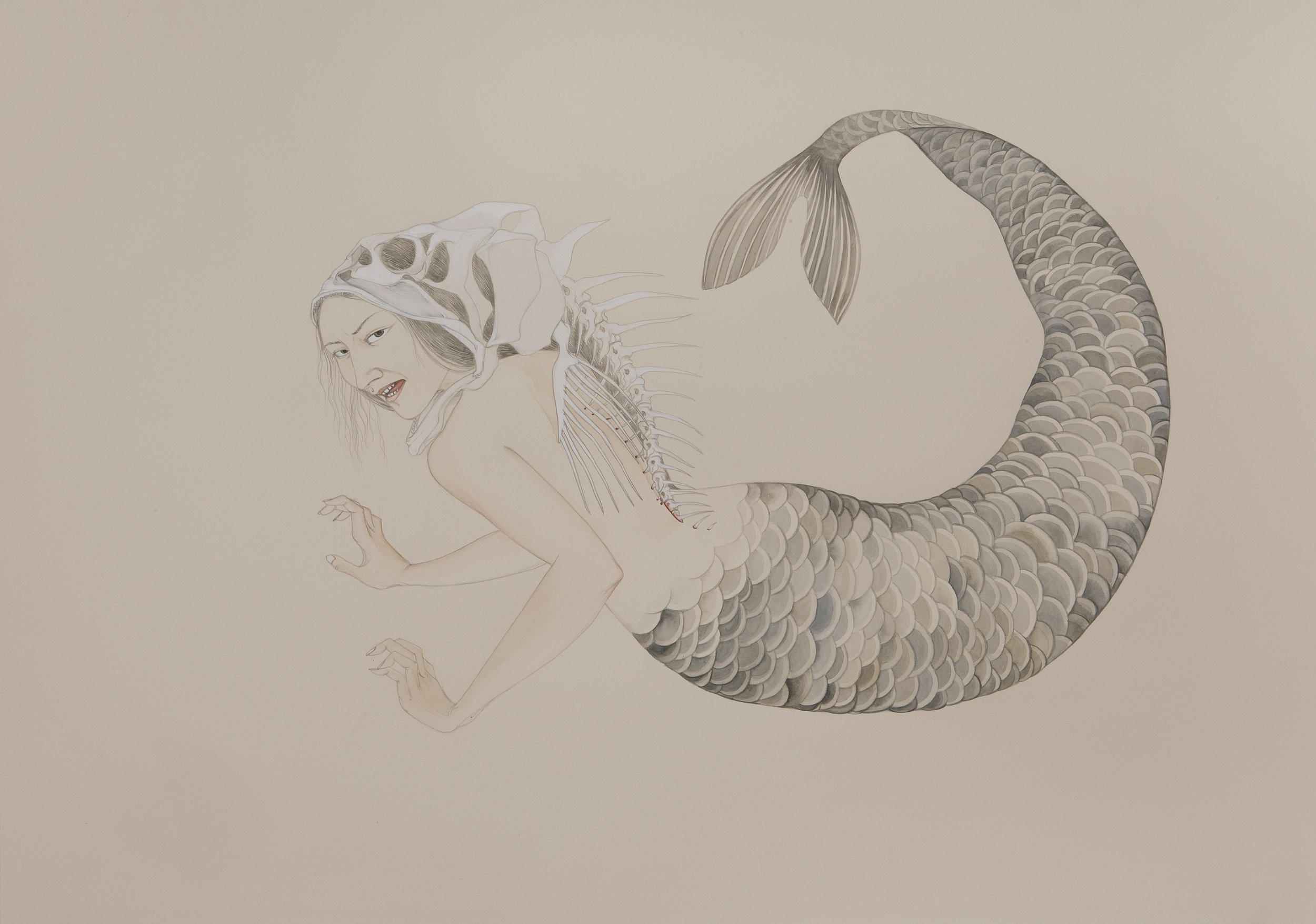   Mermaid , 2009 Graphite, ink, watercolor on cream-colored paper 27.5 x 39 inches Private Collection&nbsp;  