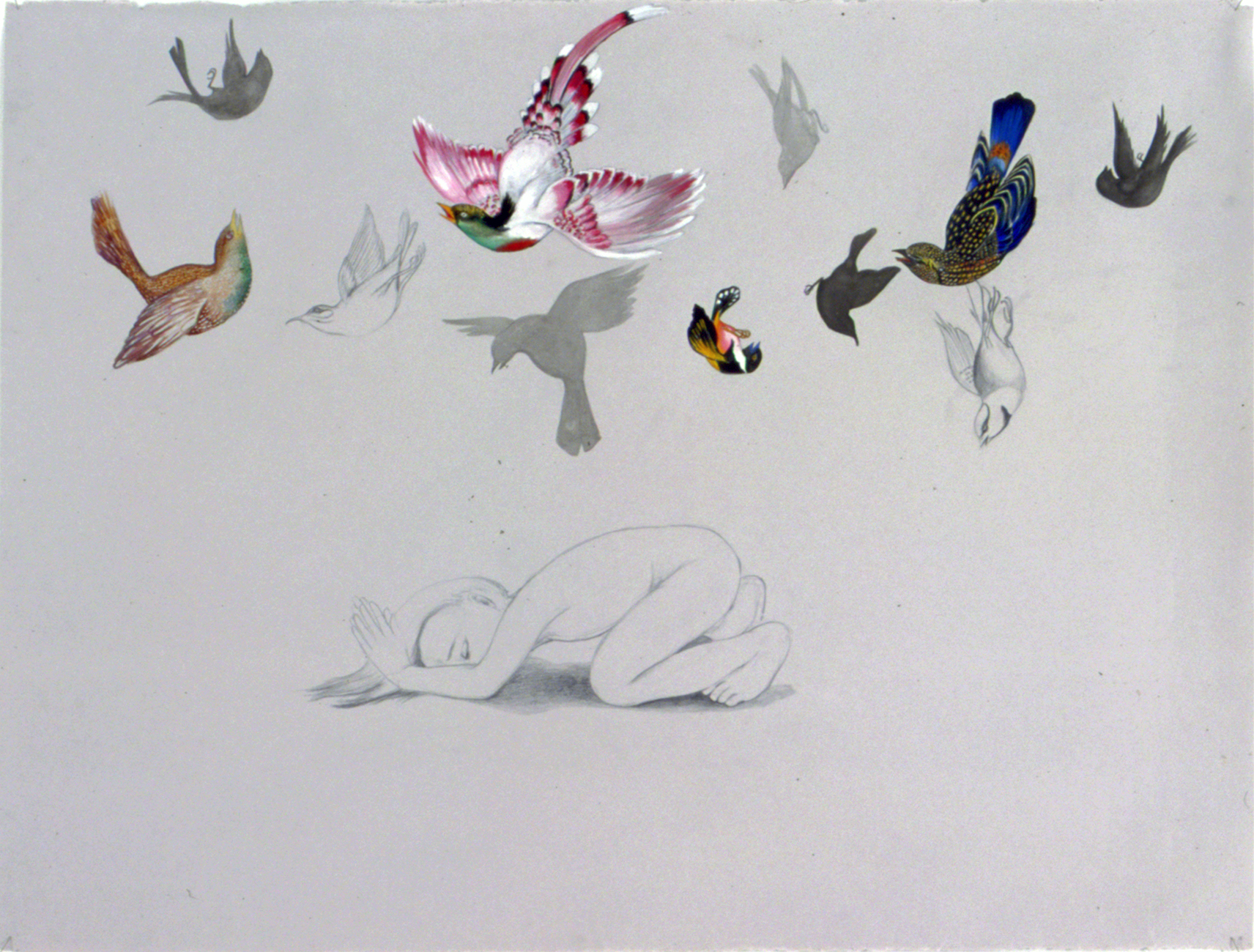   Pray For The Death Of Birds , 2004 Graphite, ink, gouache on gray paper 38 X 50 inches Private collection 