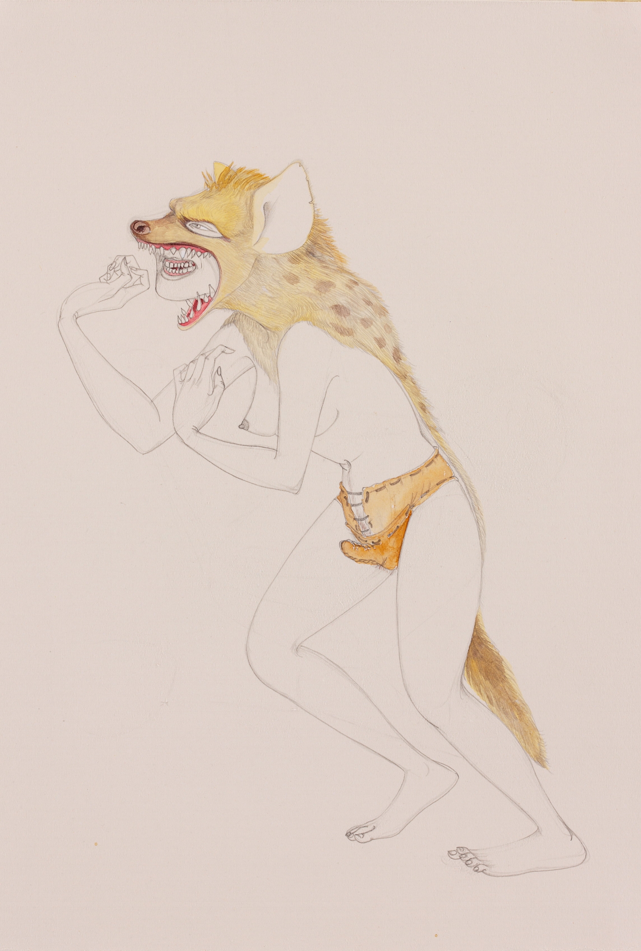   Hyena , 2010 Graphite, watercolor on ivory paper 19.5 x 13 inches Created while in residency at the Contemporary Museum, Honolulu, HI&nbsp; 