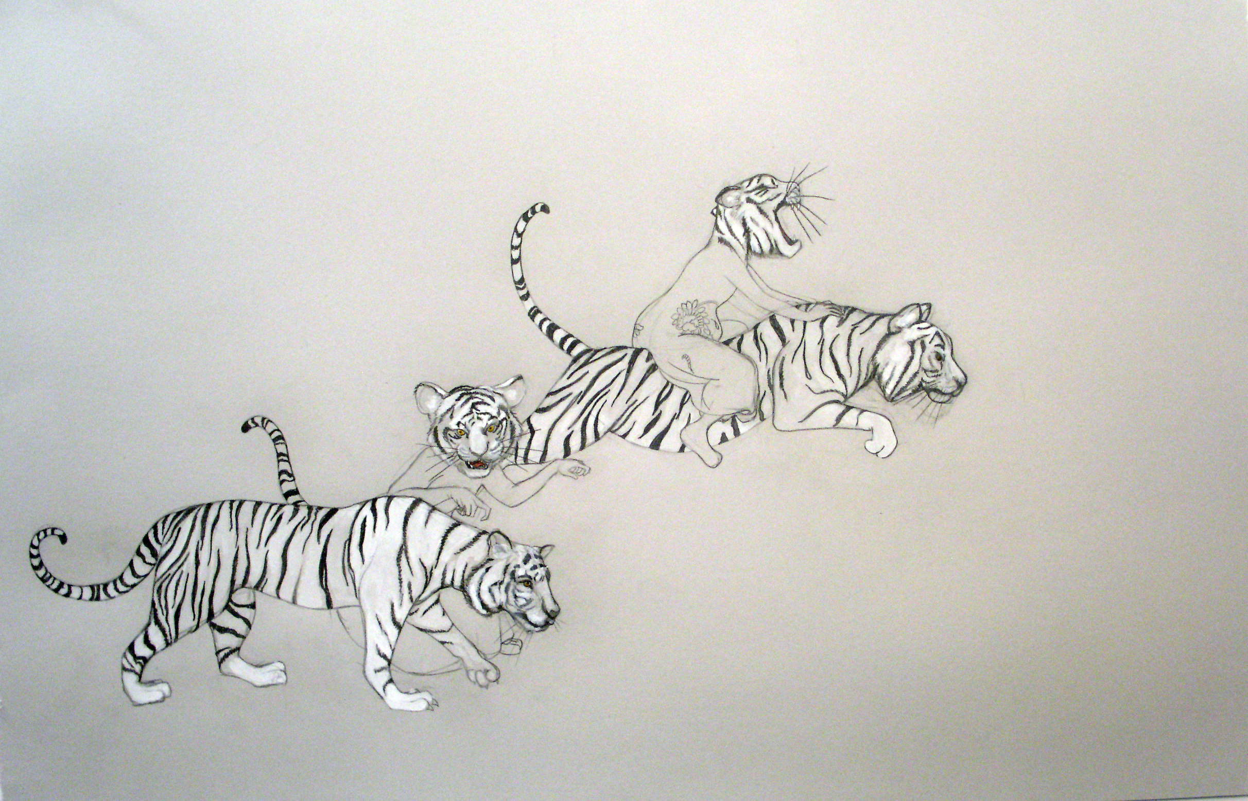  Tiger Girls II , 2006 Graphite, watercolor on gray paper 25 X 38 inches Private collection&nbsp;  