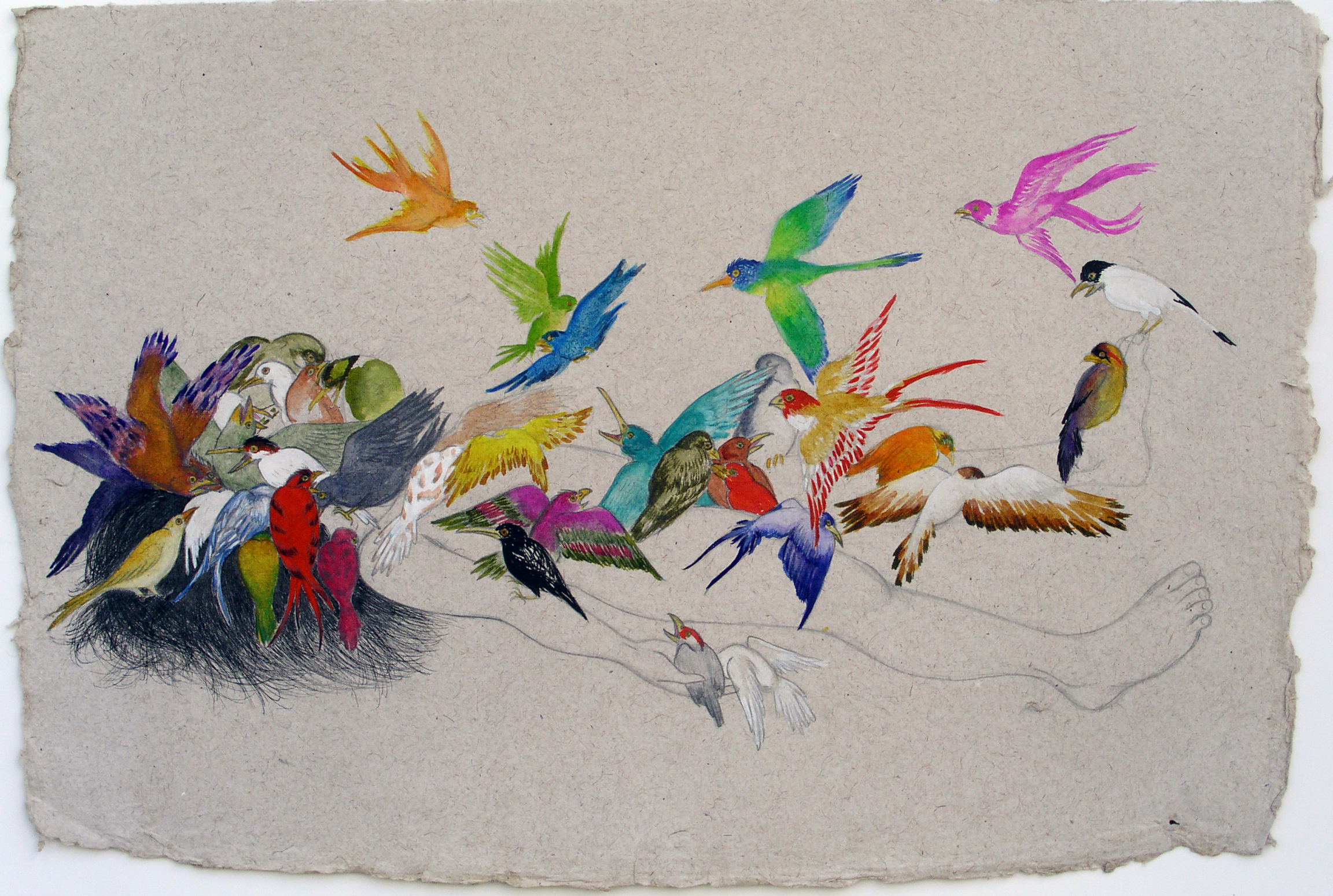   Bird Feed , 2007 Graphite, ink and watercolor on handmade Indian paper 22 x 30 inches Private collection&nbsp;  