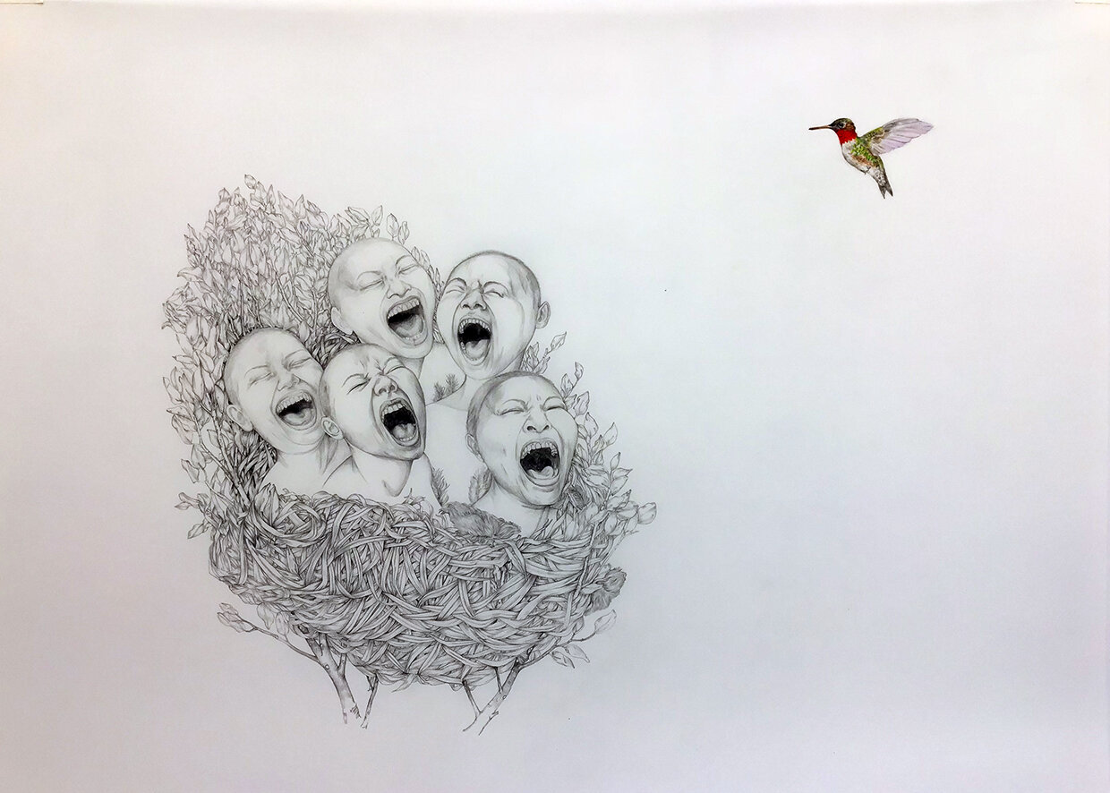   Wanting Creatures , 2020 Graphite and oil paint on translucent drawing film 30 x 42 inches 