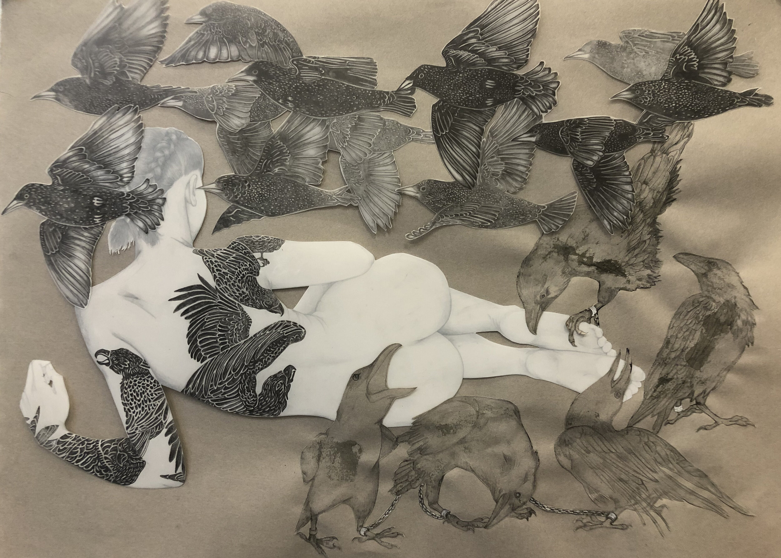   As The Crow Flies , 2020 Graphite on translucent drawing film, glue, and paper 