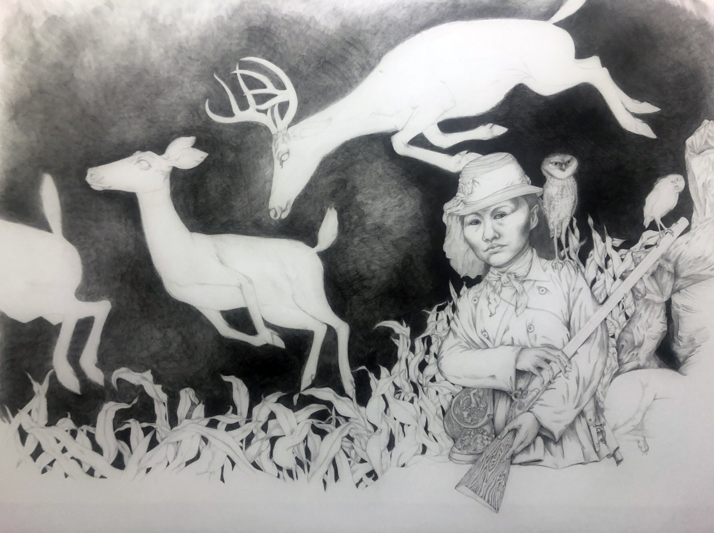   Natural History II , 2021 30 x 42 inches Graphite on translucent drafting film 