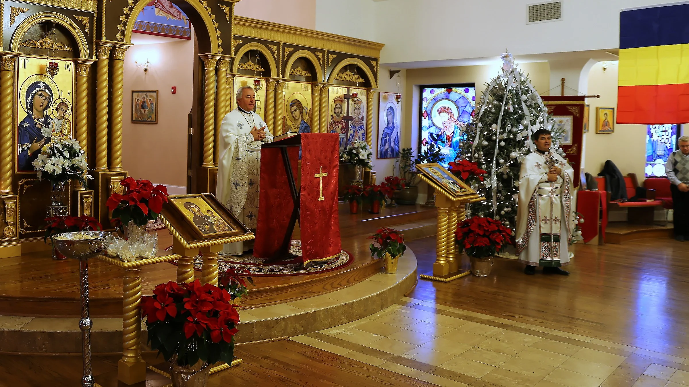 Pr. Prof. Univ. Dr. Stelian Tofană