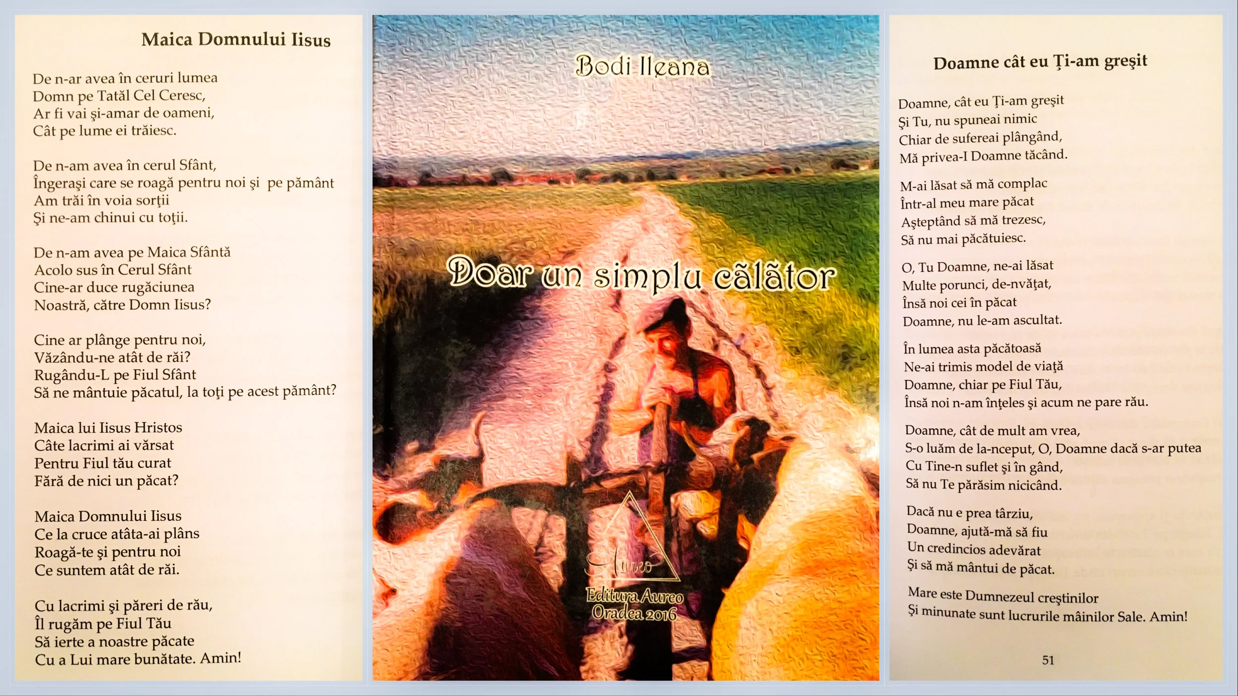 Doar un simplu călător