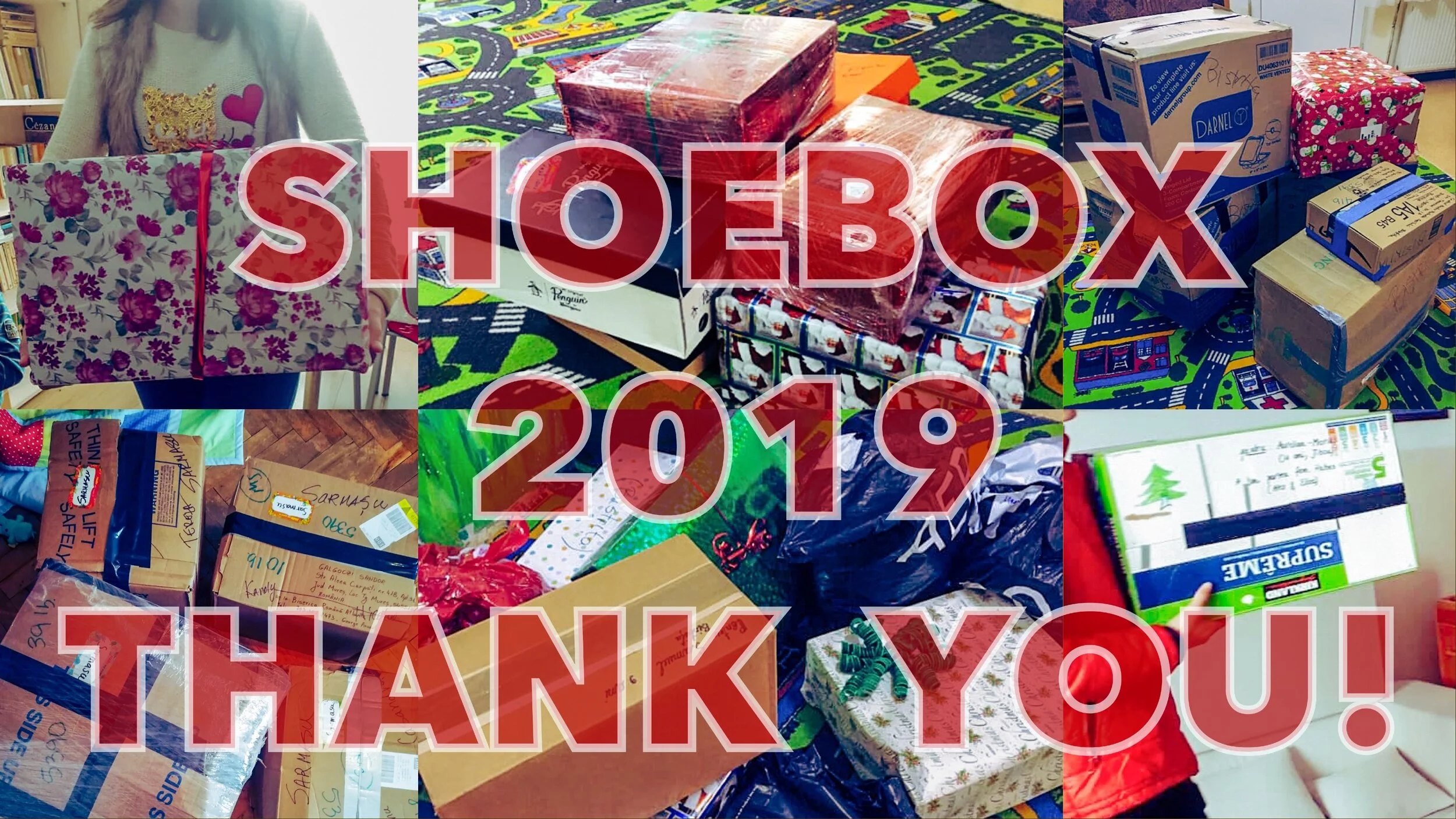 SHOEBOX update