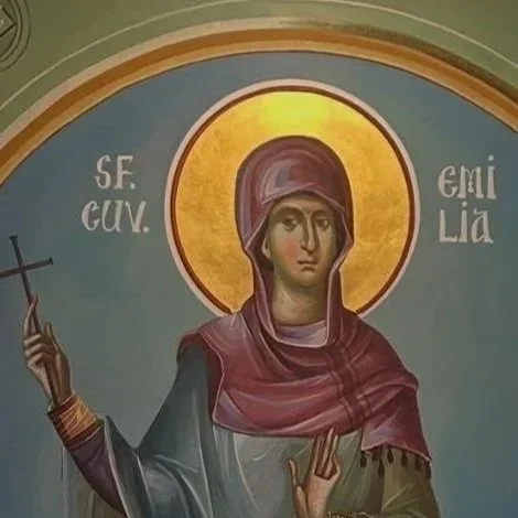 Trecerea la cele vesnice a fratelui Emilian Naftanaila