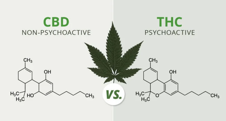 Image via Herb Approach