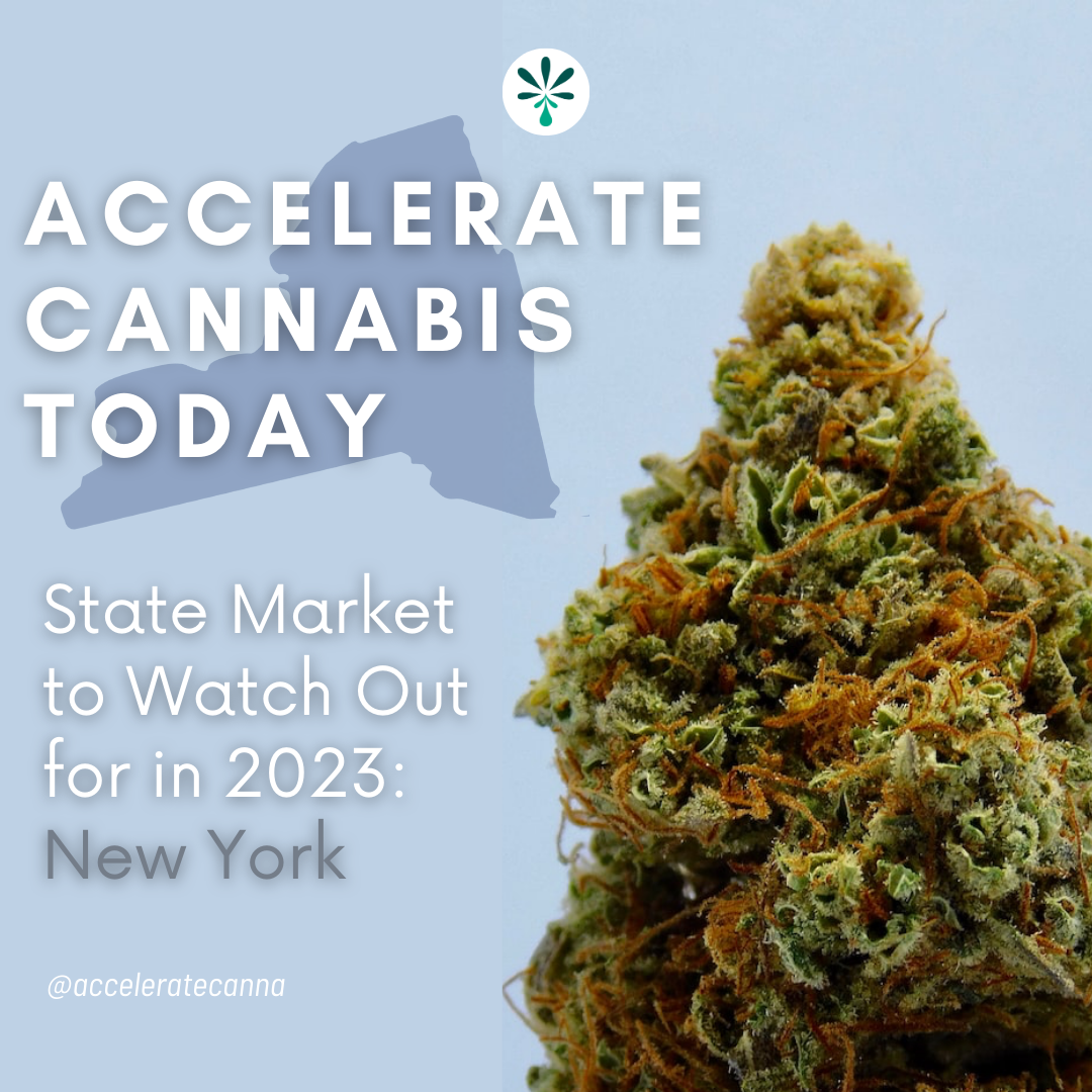 ACT0044 - ACT0043 - State Market to Watch Out for in 2023: New York