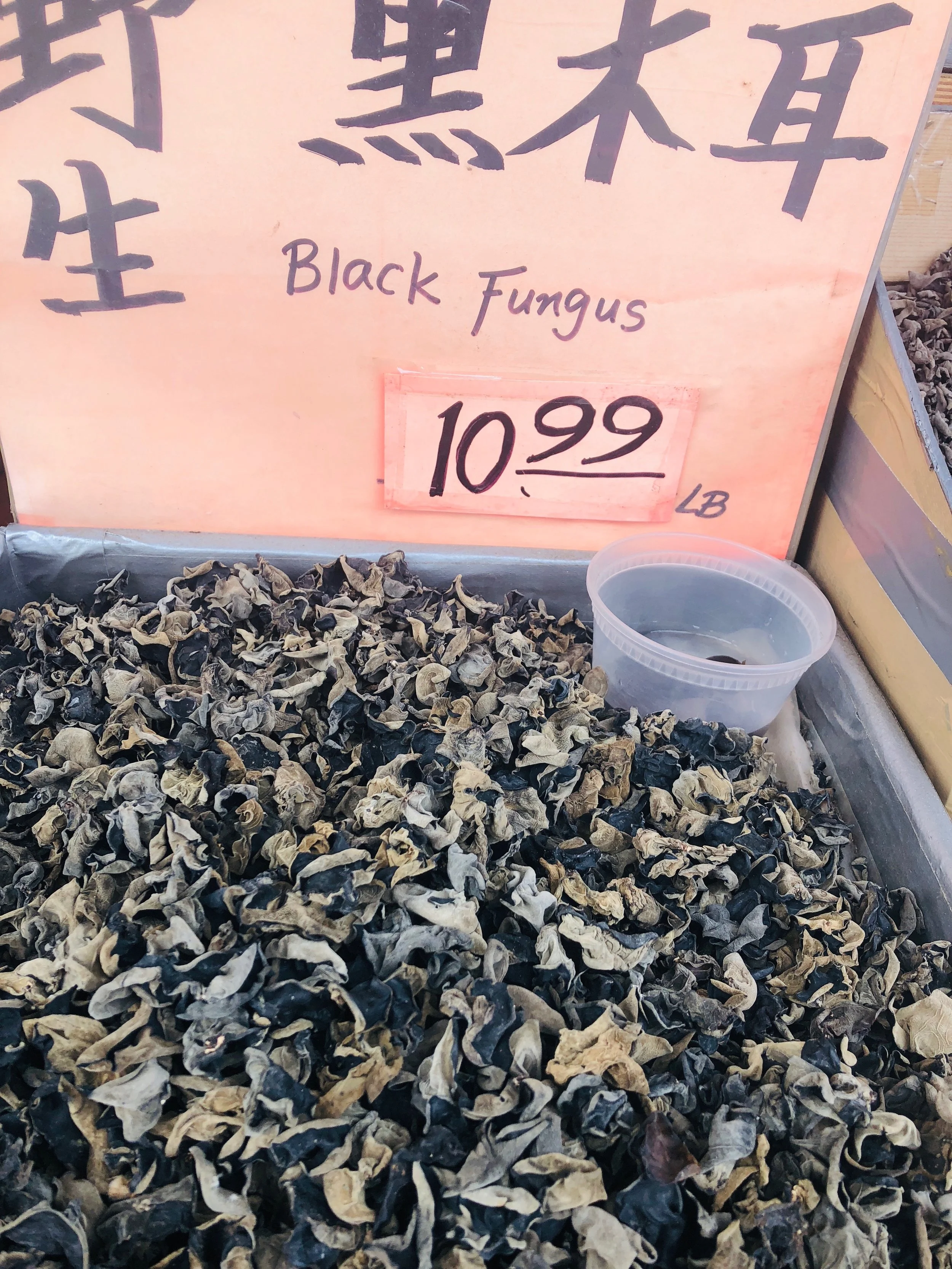 Not sure if they’re “magical”. Flushing, Queens.