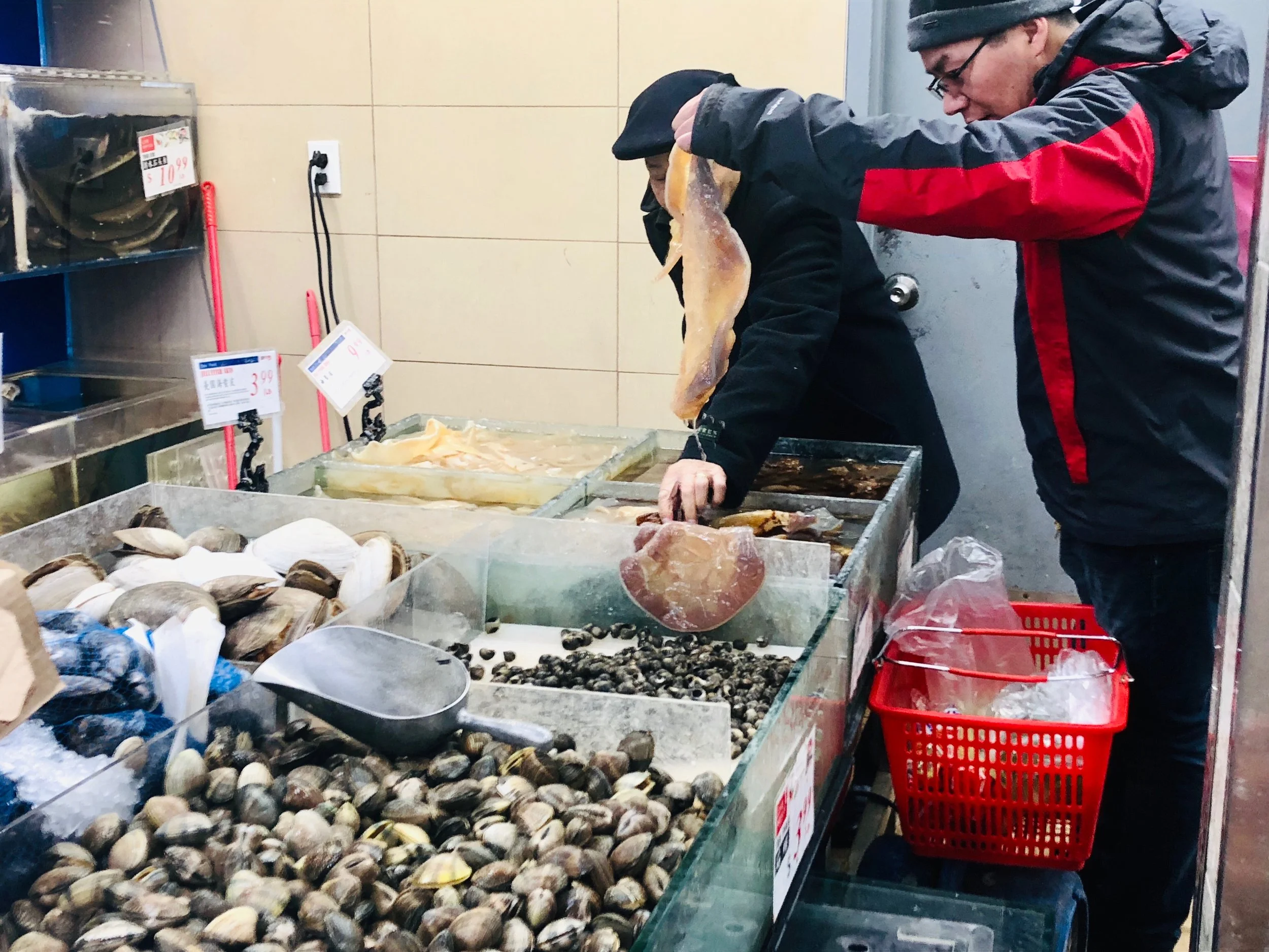 Men investigating a specimen for their jellyfish purchase. Flushing, Queens.