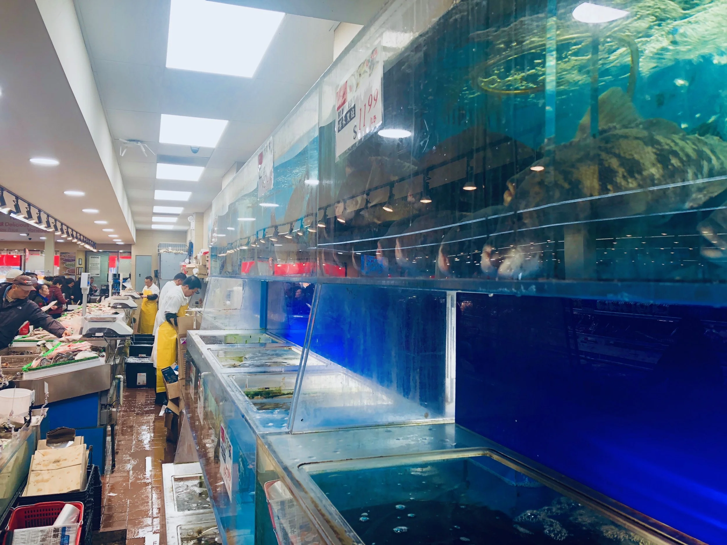 One of many the fish markets in Flushing.