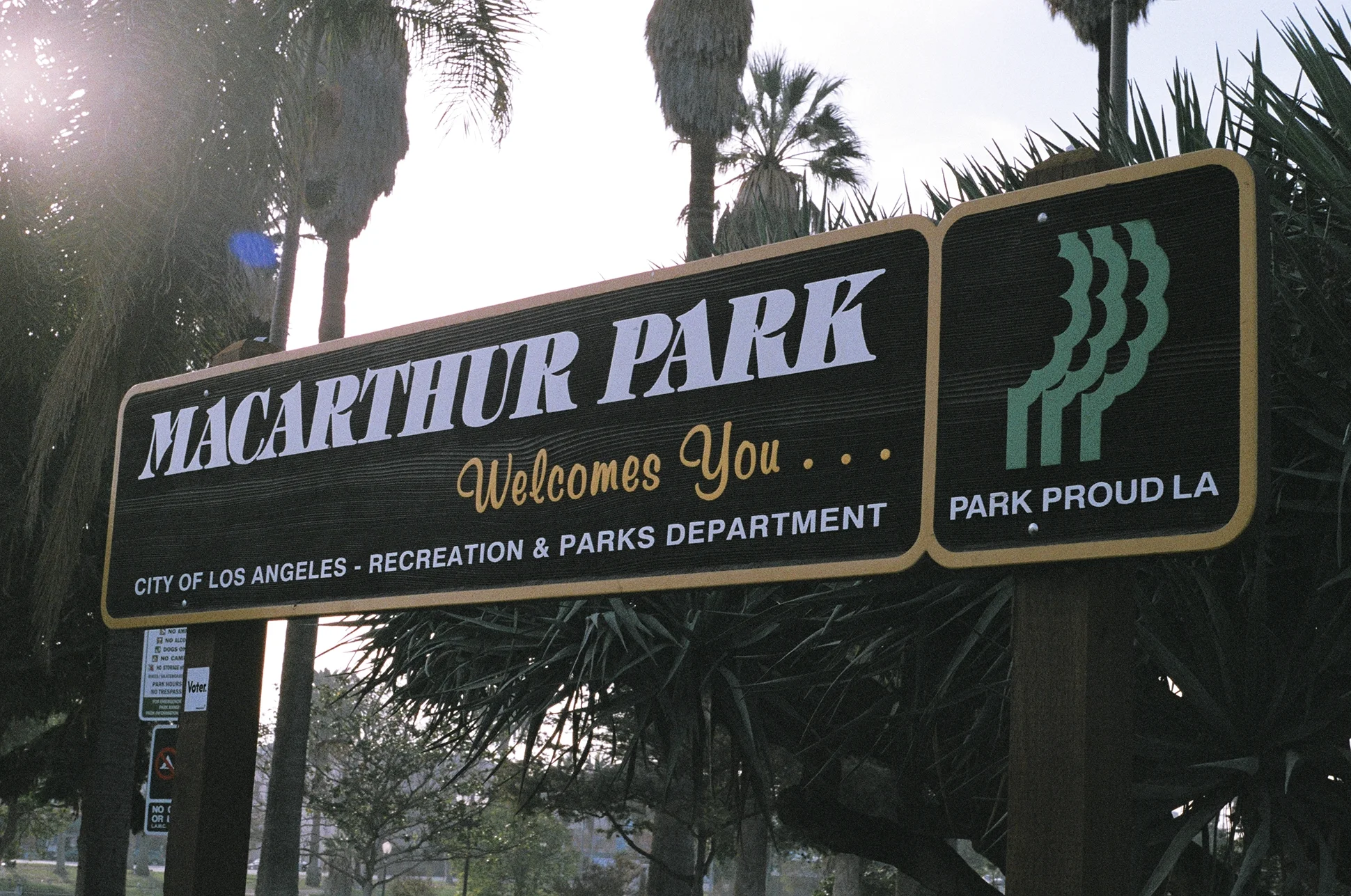 MacArthur Park, Los Angeles. Pentax K1000. Fujifilm Superia. Fletcher Berryman 2018.