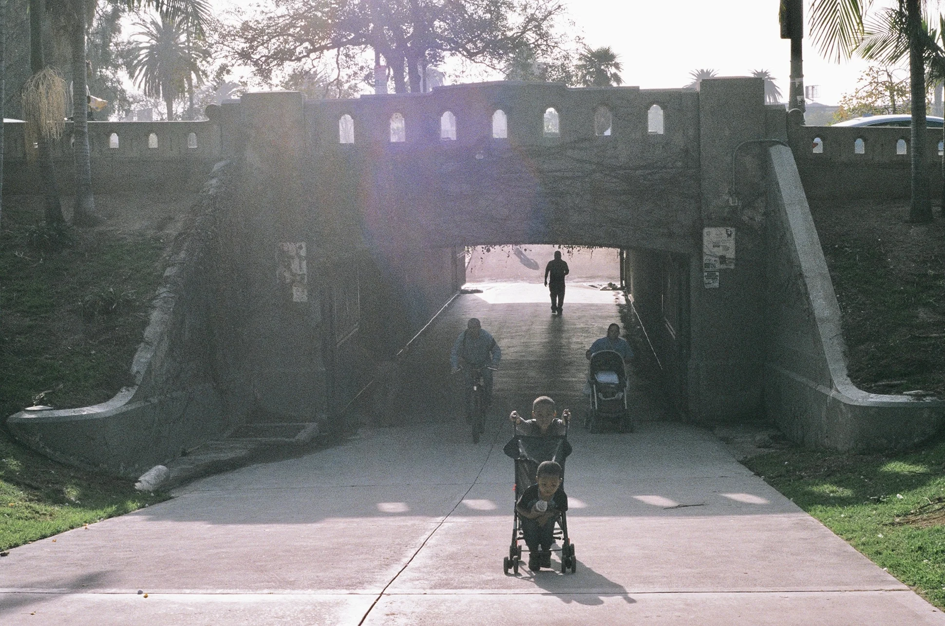 MacArthur Park, Los Angeles. Pentax K1000. Fujifilm Superia. Fletcher Berryman 2018.