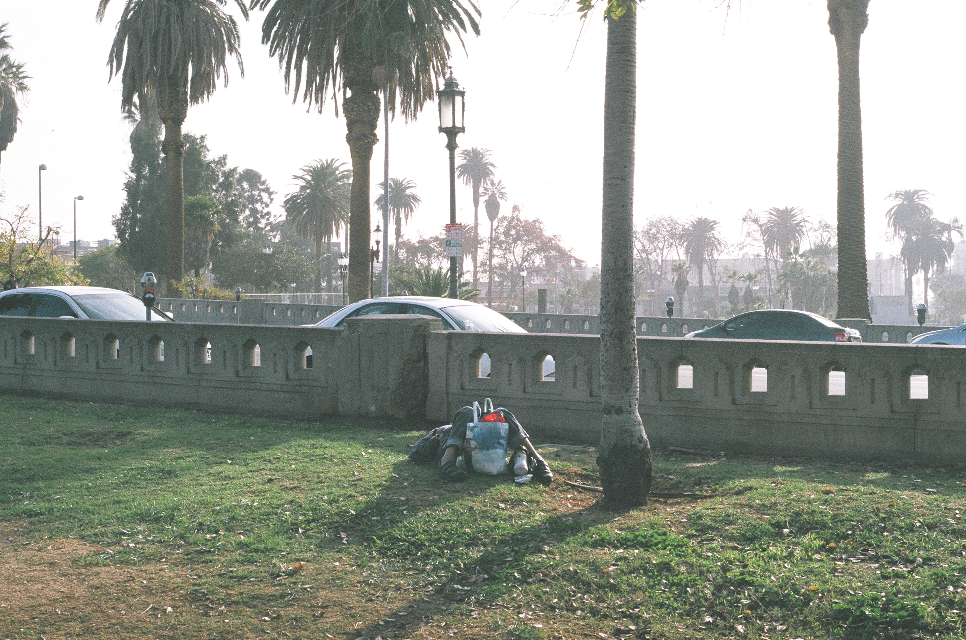 MacArthur Park, Los Angeles. Pentax K1000. Fujifilm Superia. Fletcher Berryman 2018.