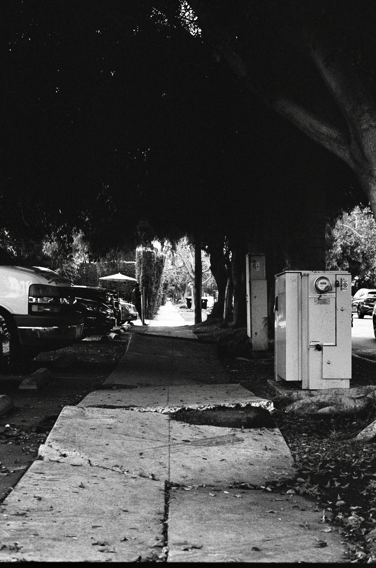 Pico-Robertson, Los Angeles. Kodak Tri-X 400. Pentax K1000. Fletcher Berryman 2019.